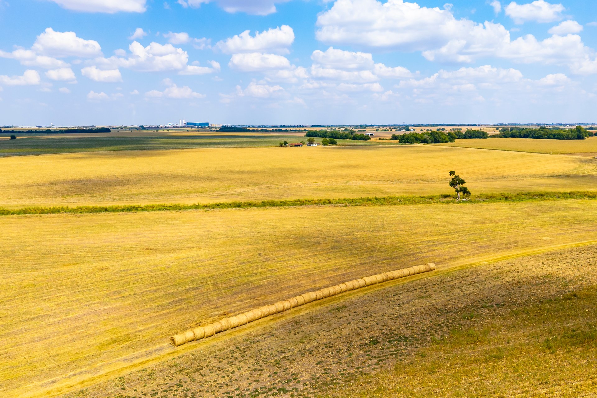 272 Acres at FM 1660 & FM 973, Just South of Samsung - Taylor, TX