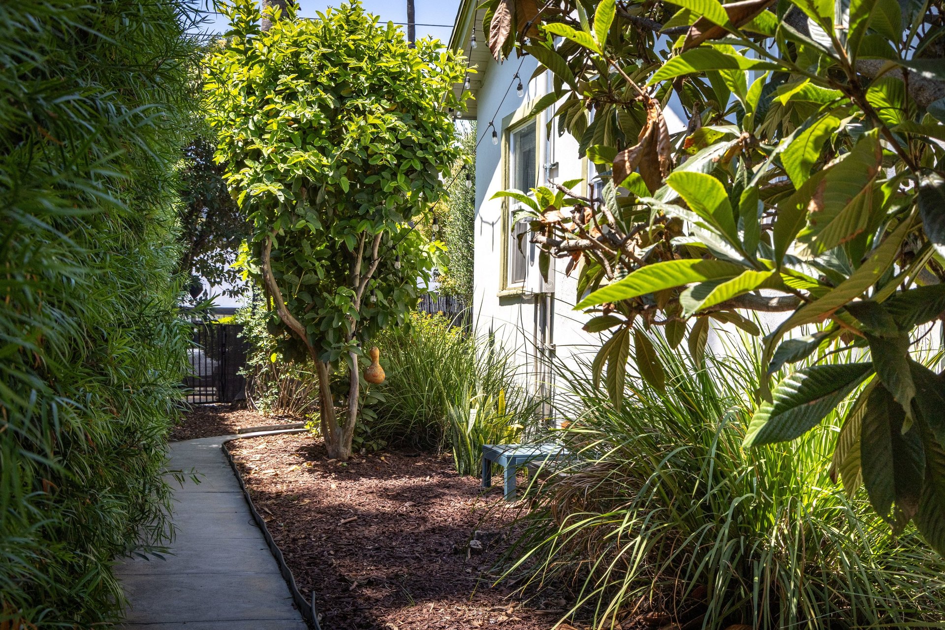Highland Park 
