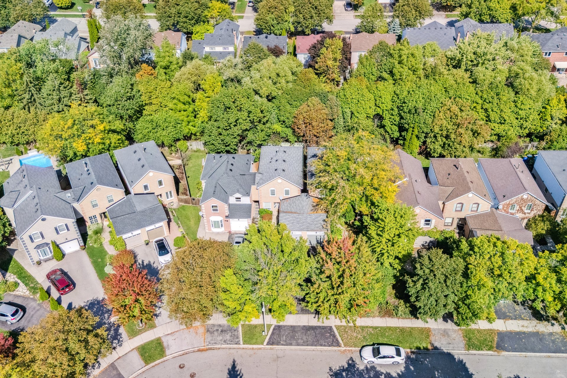 Updated Link Home on Ravine Lot