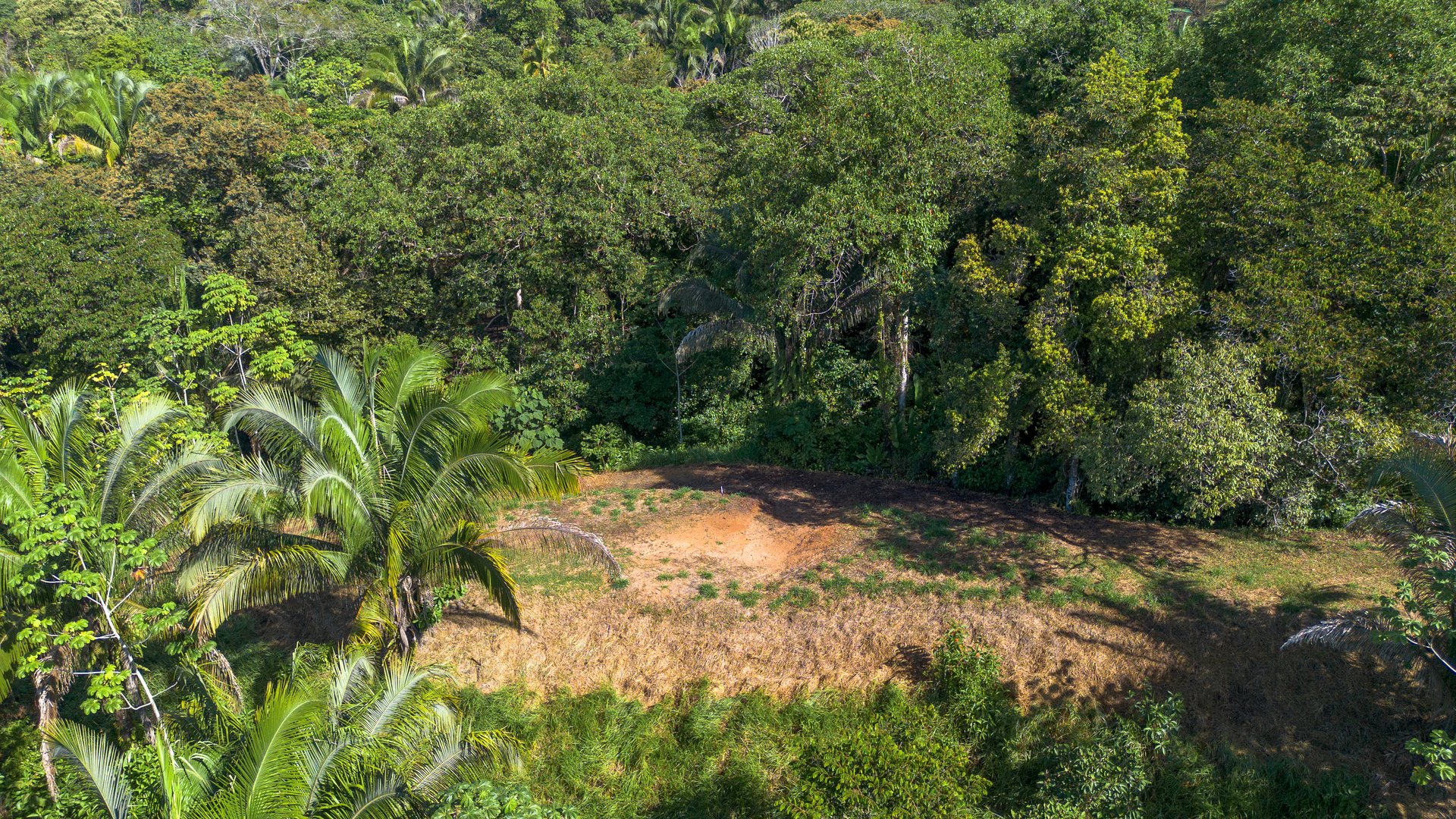 Surfers Paradise! Two Usable Lots for Building in Playa Hermosa Near Uvita!!