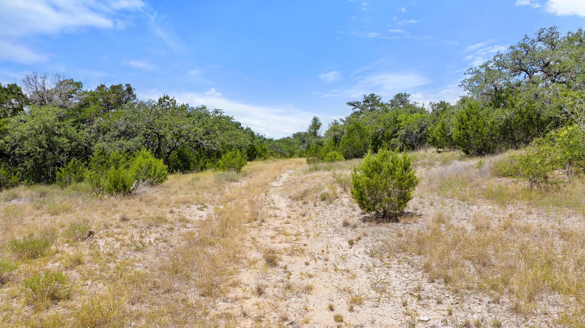 5300 Spring Preserve Trail LOT