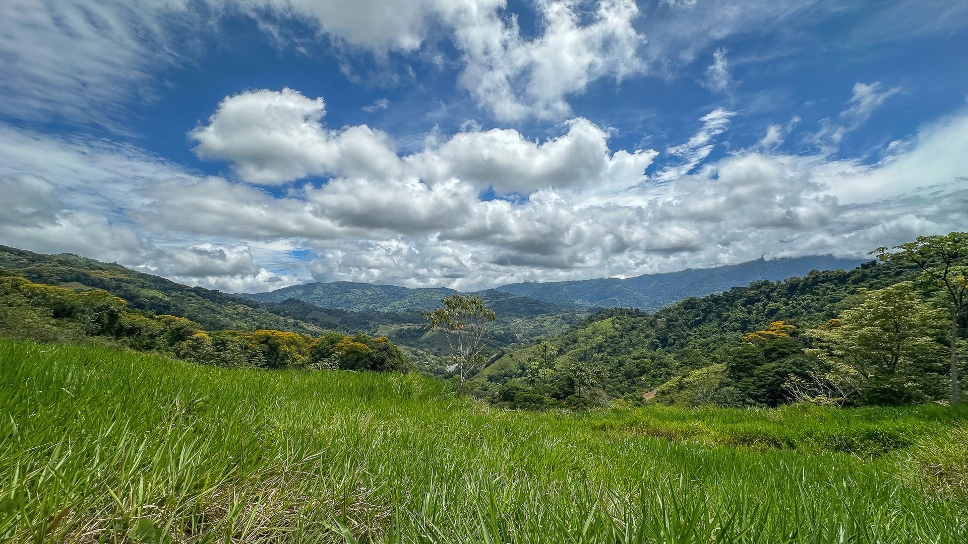 60+ Hectares in Platanillo | Own Your Own Mountain in Costa Rica