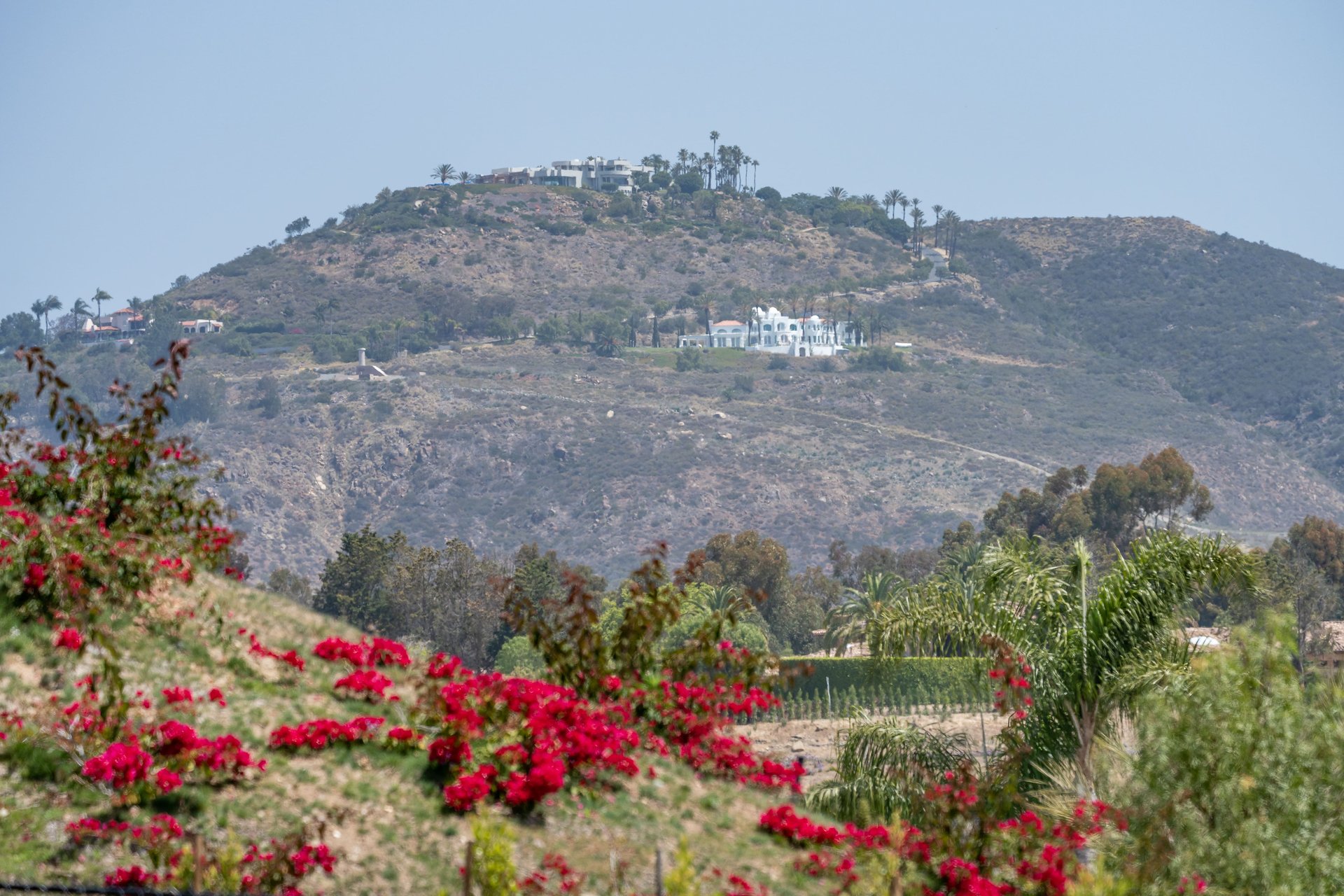 Scenic landscaping with a mountain in the background