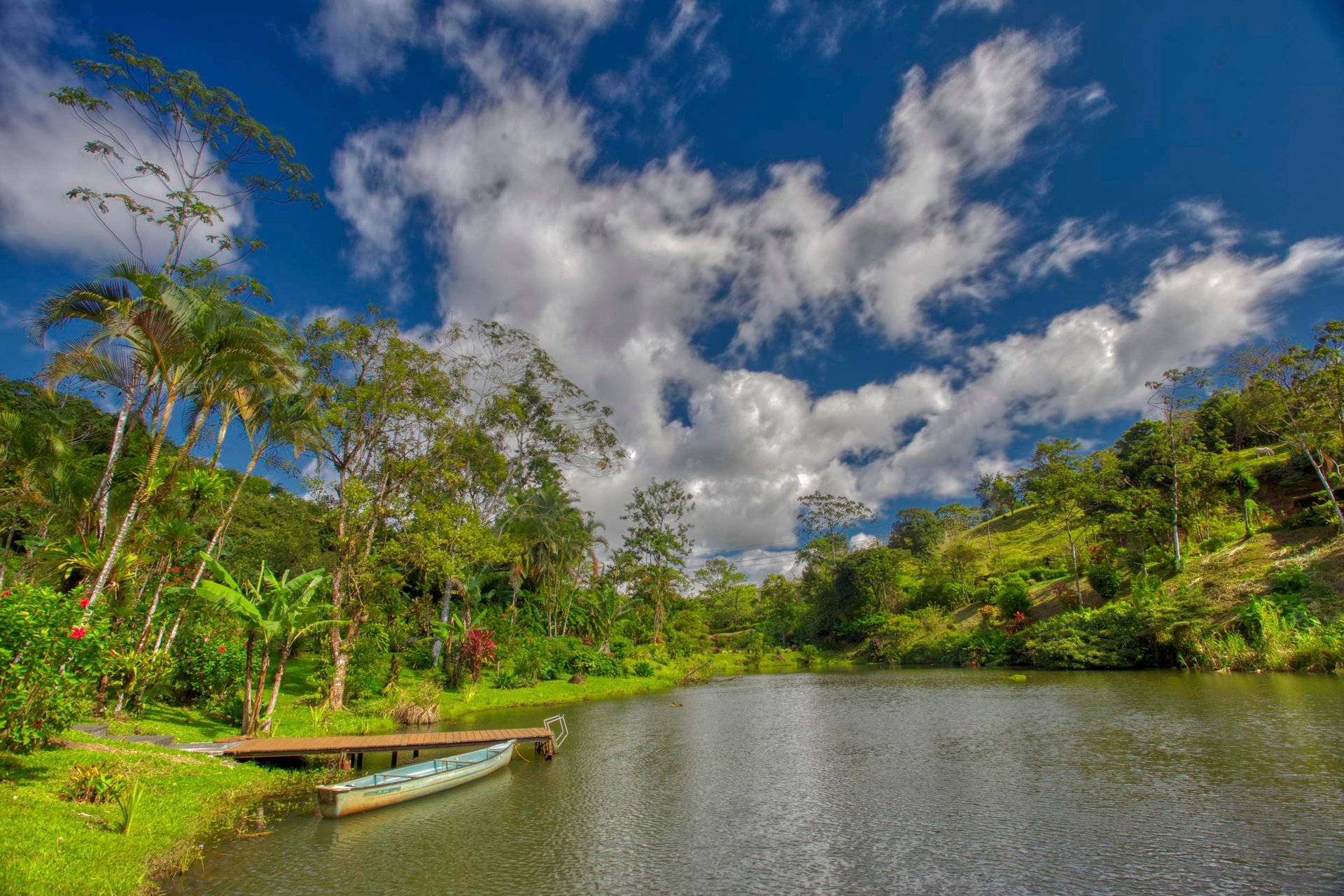 The Lucky Bug | Boutique Hotel & Investment Opportunity in Nuevo Arenal