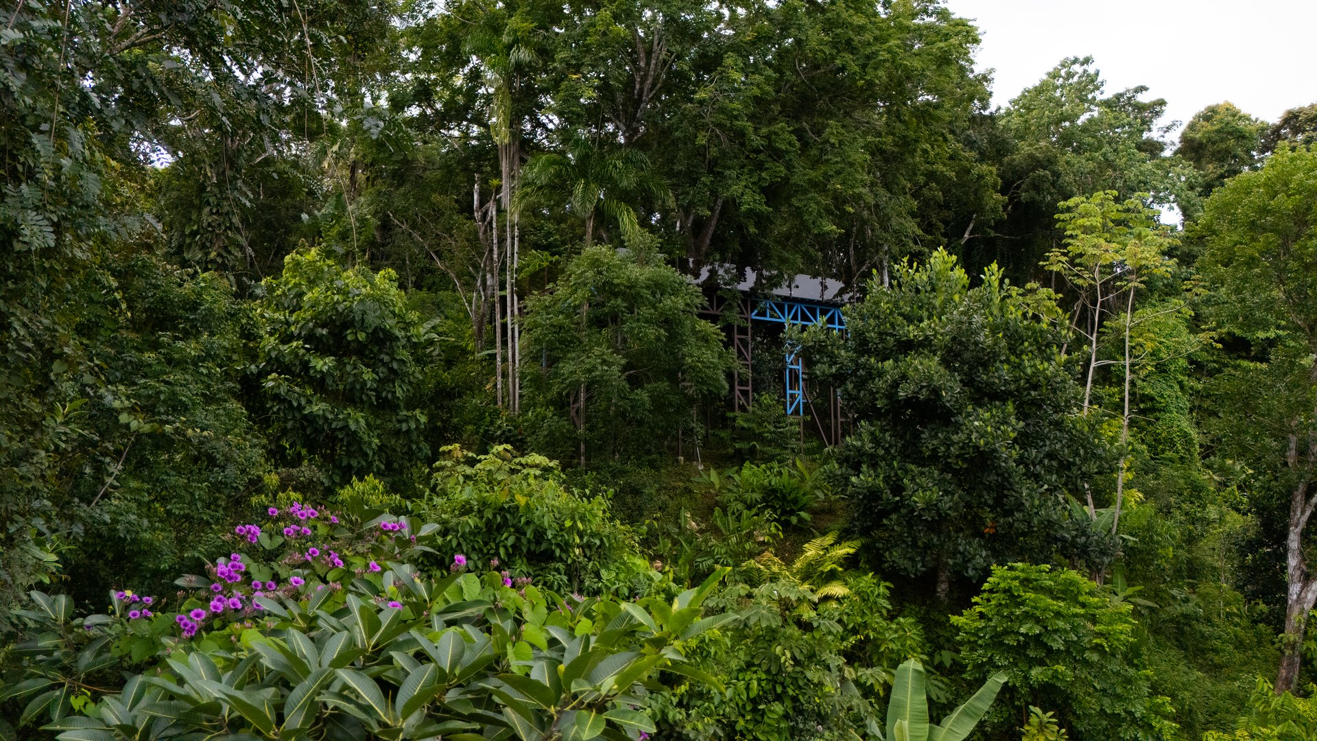 FIRE SALE!! | Where the Journey Begins | Private Jungle Estate at Nauyaca Waterfalls