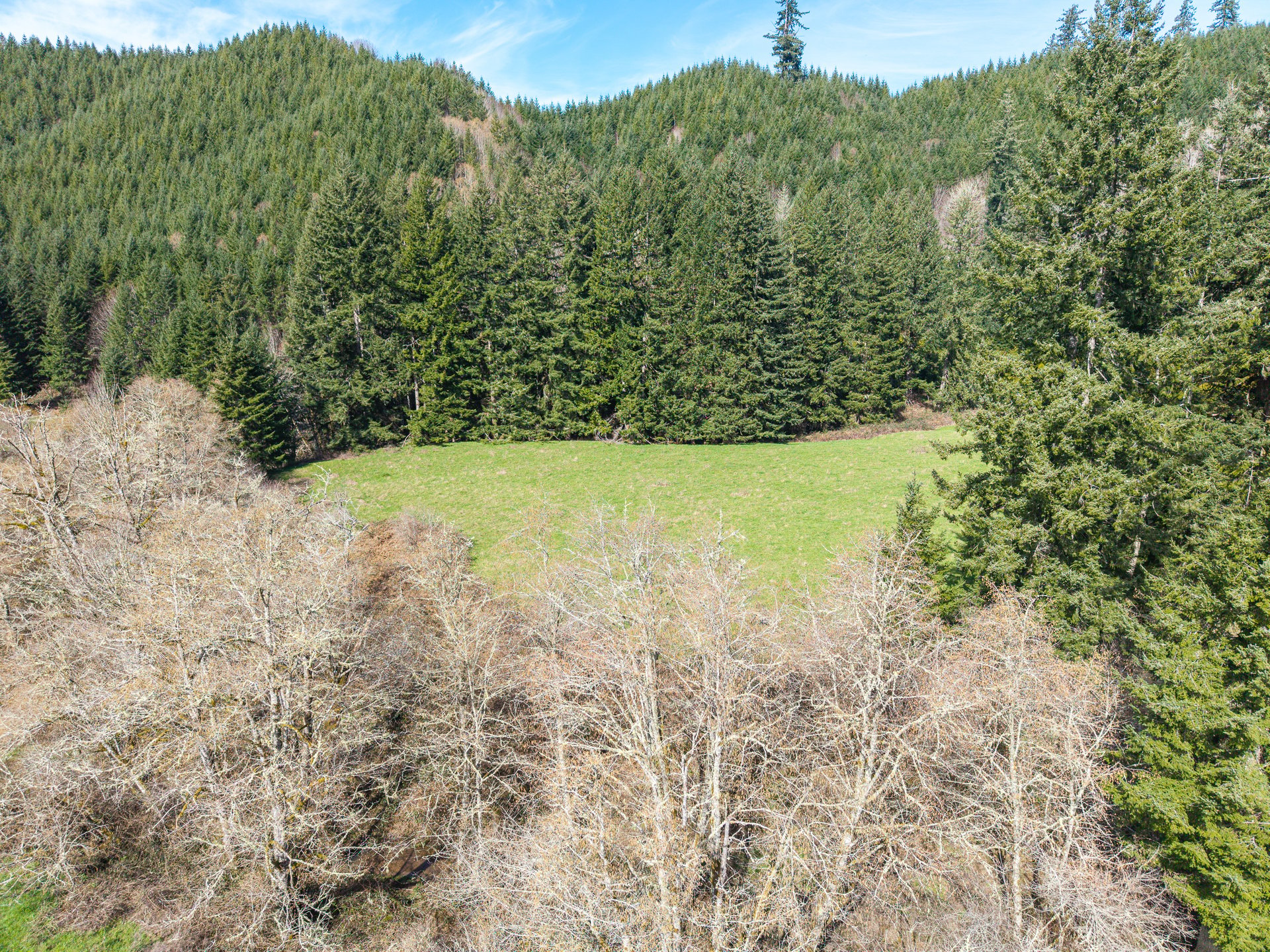 LITTLE ELK TREEFARM