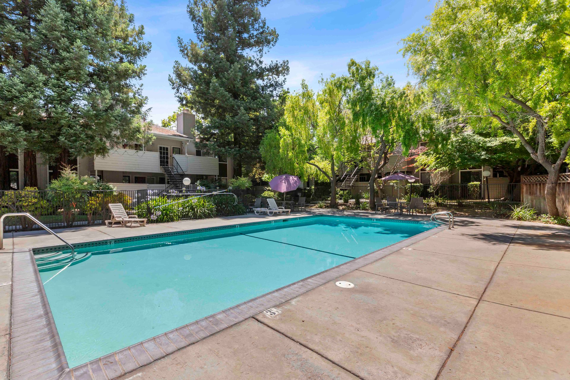 3852 Panda Place