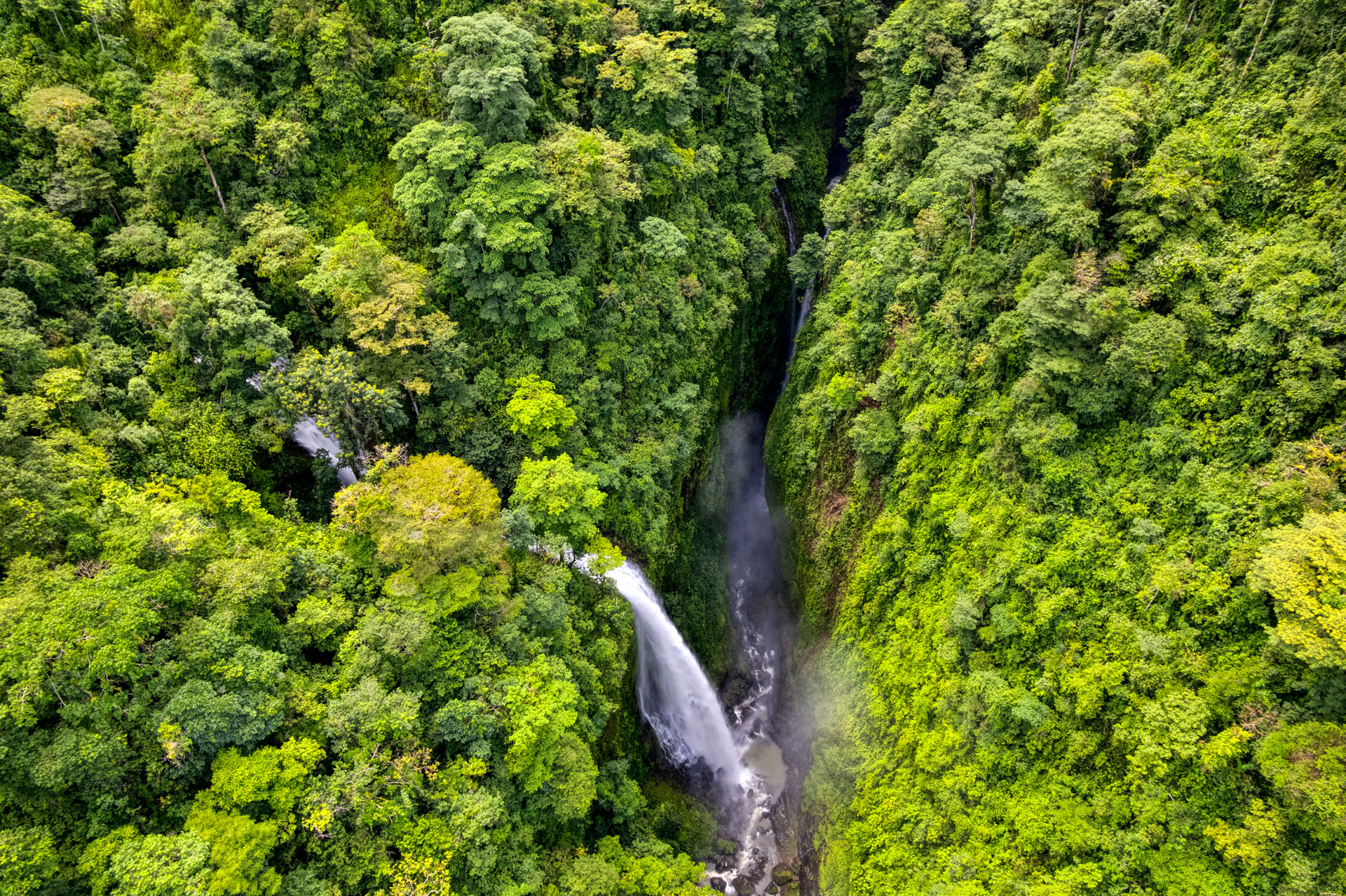 Once in a Lifetime Waterfall Farm in a Pristine Biological Corridor