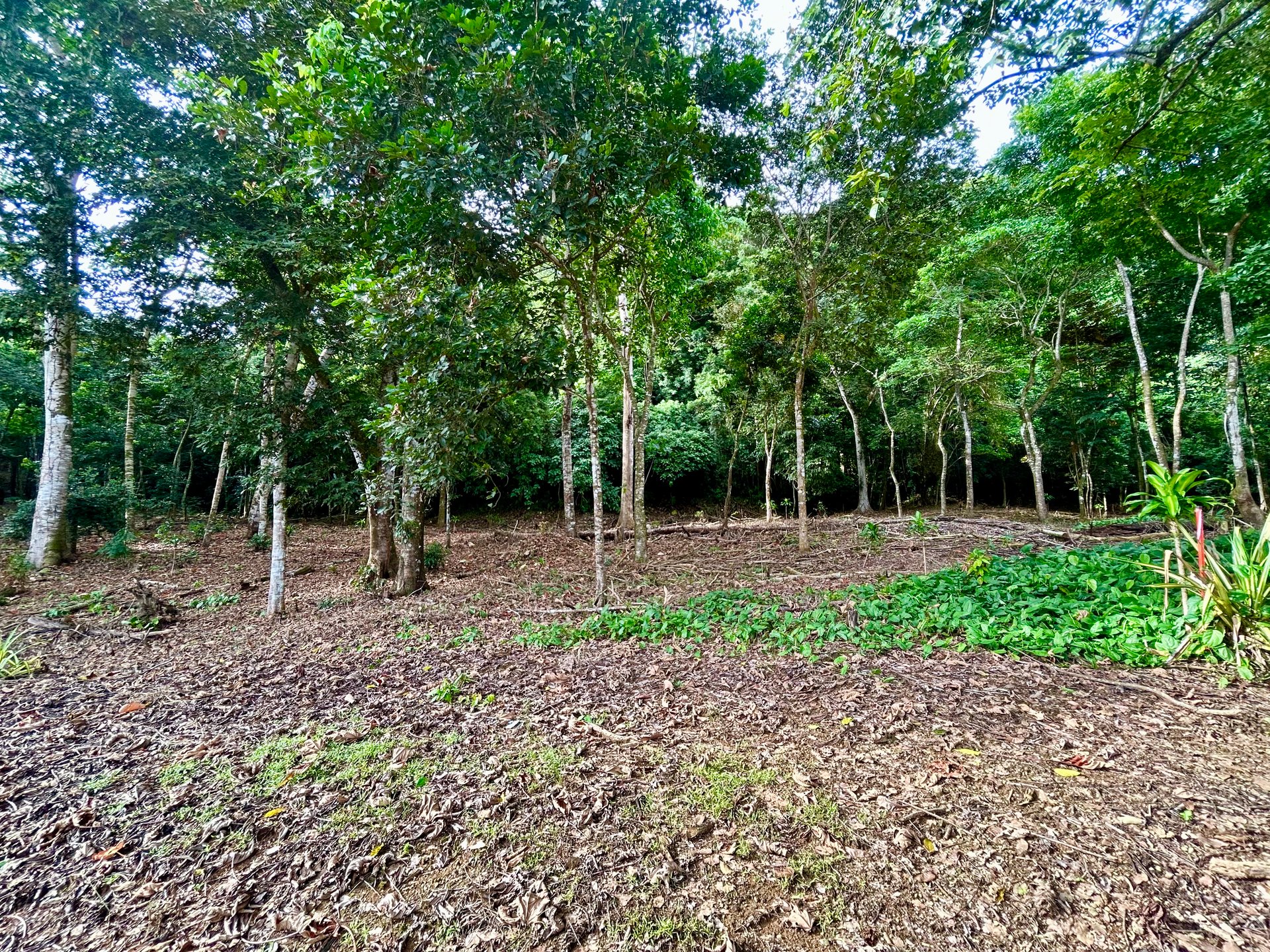 Tawal Lots for Sale – Prime Commercial & Residential Opportunity