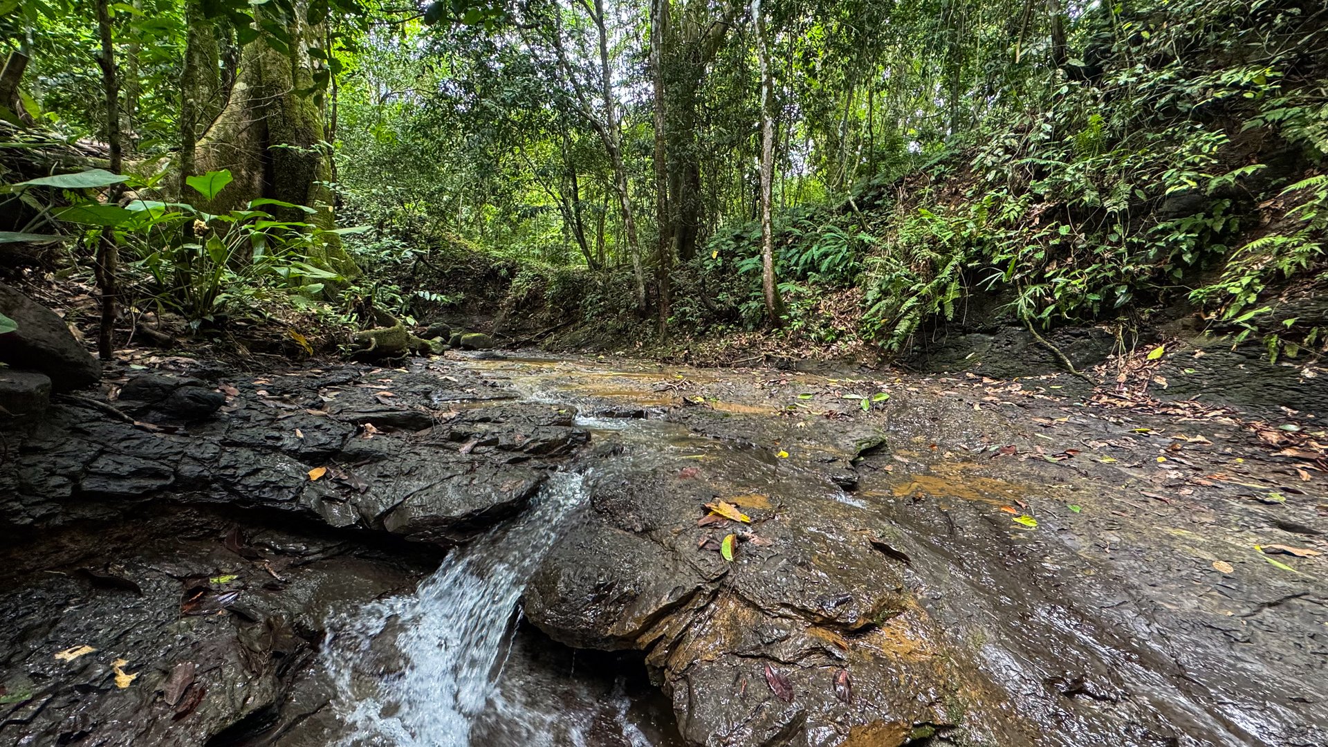 Beautiful Lot Ready to Built in Playa Hermosa, Osa with a Creek