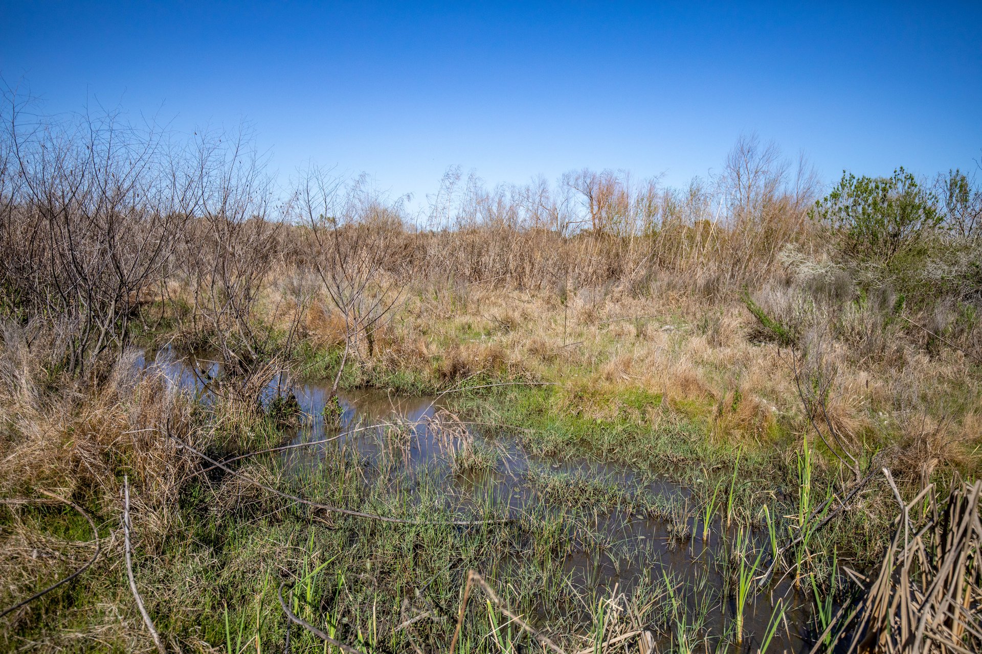 Lamar Peninsula Development Tract |  51.81± Acres | Aransas County