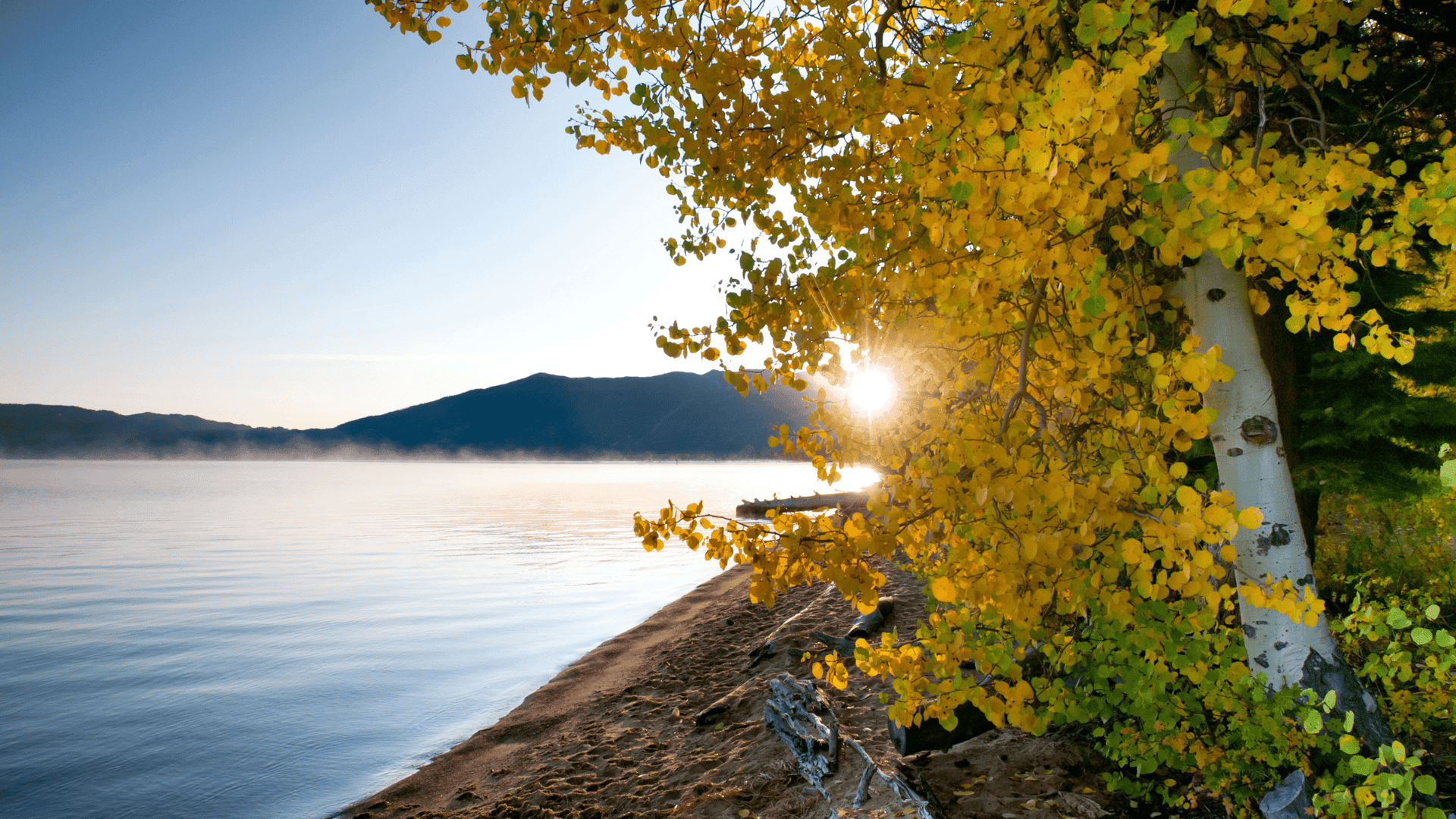Tahoe Connect | October 2025 Update