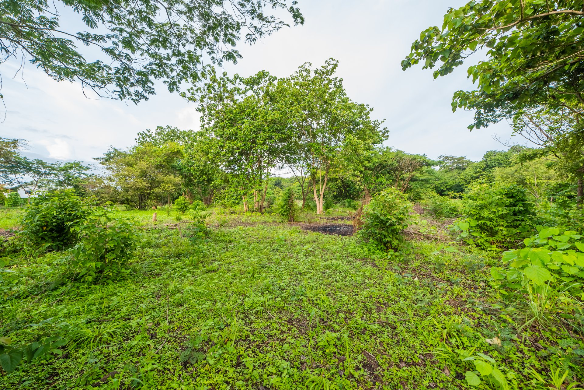 La Garita de Tamarindo Lot | 1.3-Acre Home Site Near Top Beaches, Private, Scenic, and Well-Located
