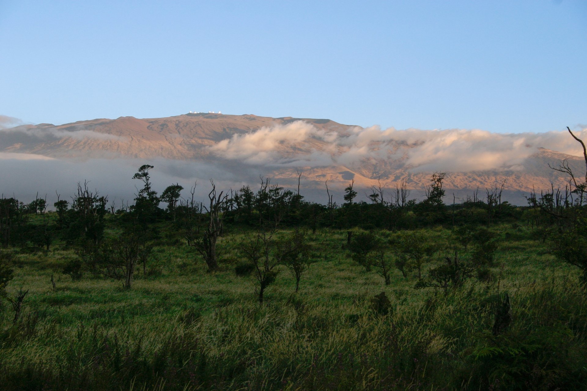 Waipi'o Valley Reserve