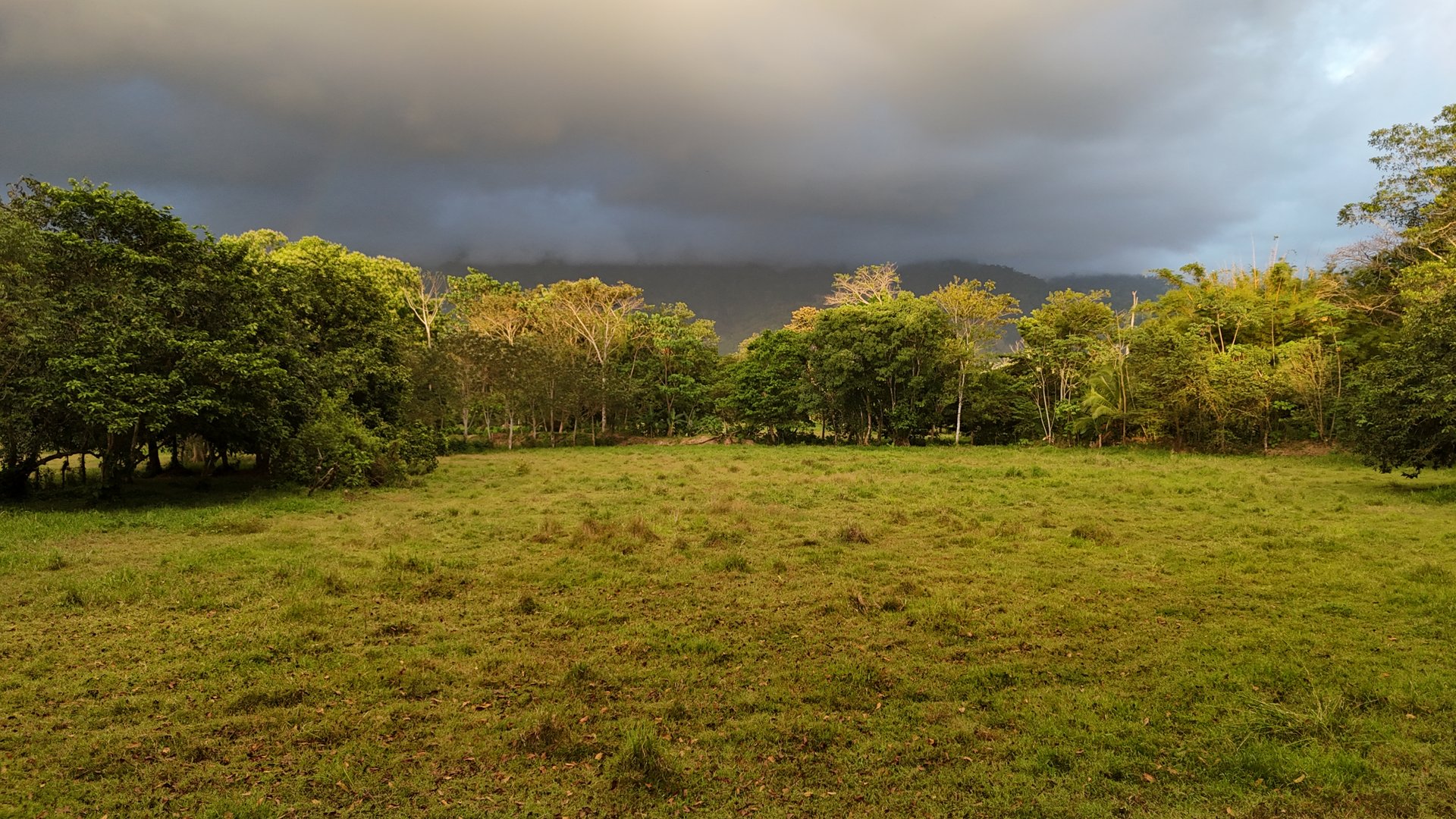 Over 5 Acres Farm in San Buenas