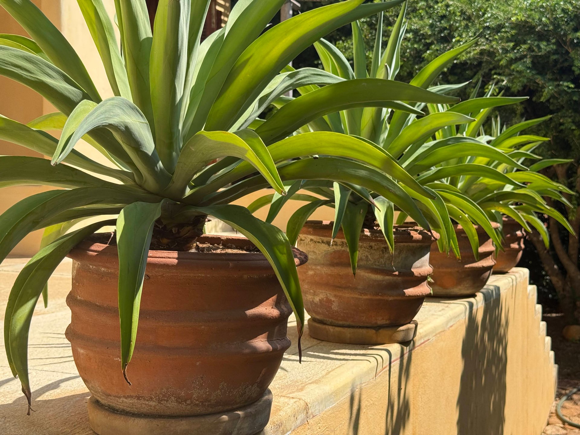 4 Bedroom, Single Family Home, Casa del Pacifico
