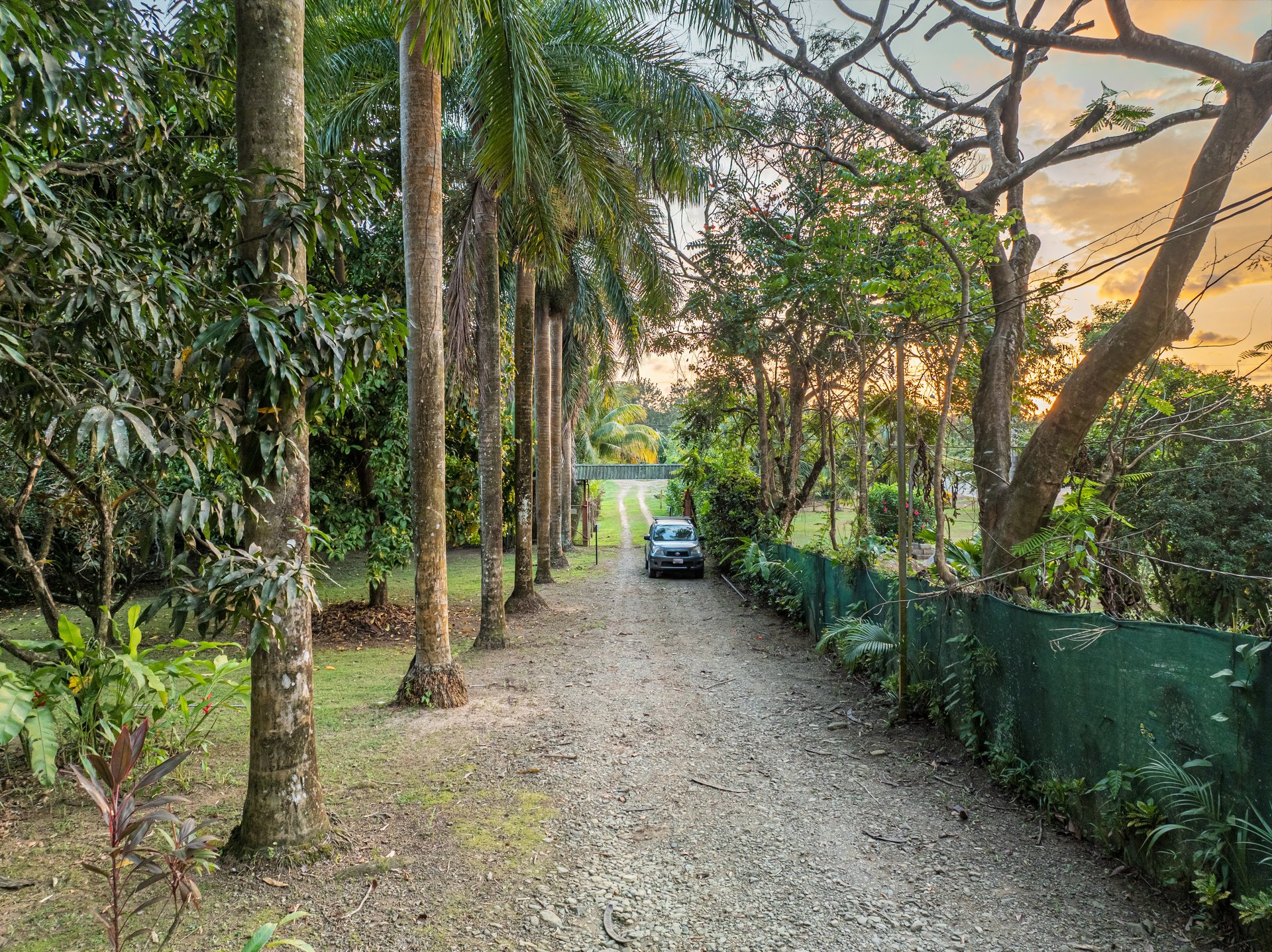 Casa Carambola, Tropical Paradise with Income Potential