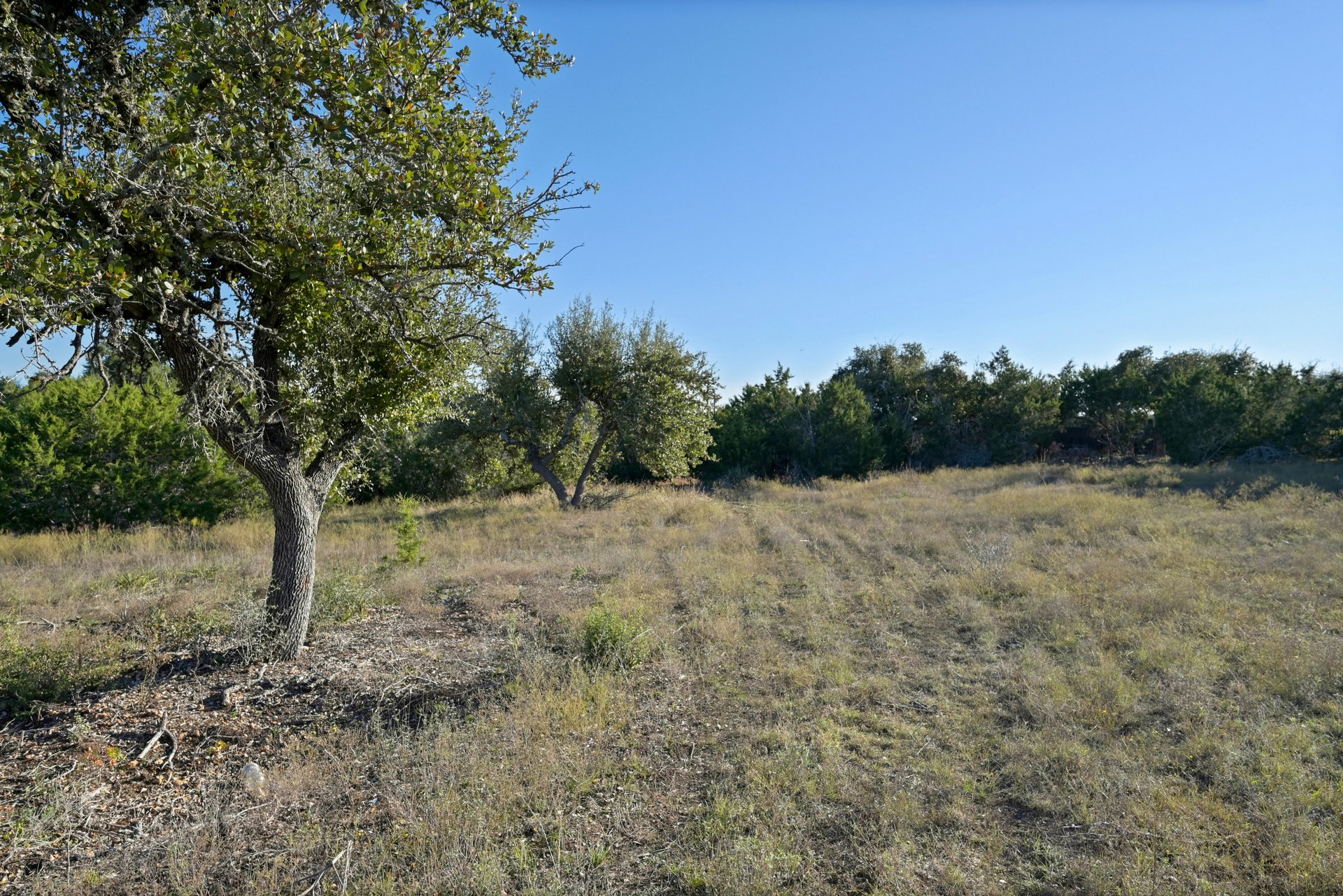 Madrone Canyon Lot 82A