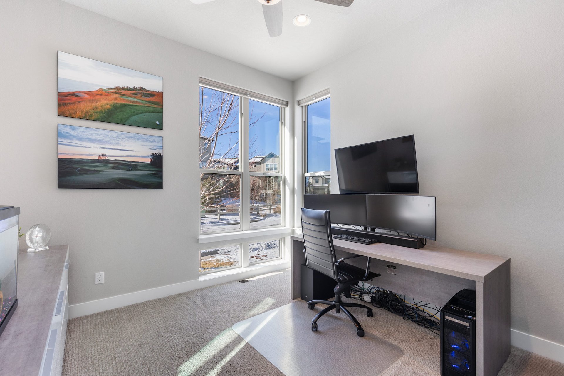 507 Red Thistle Drive