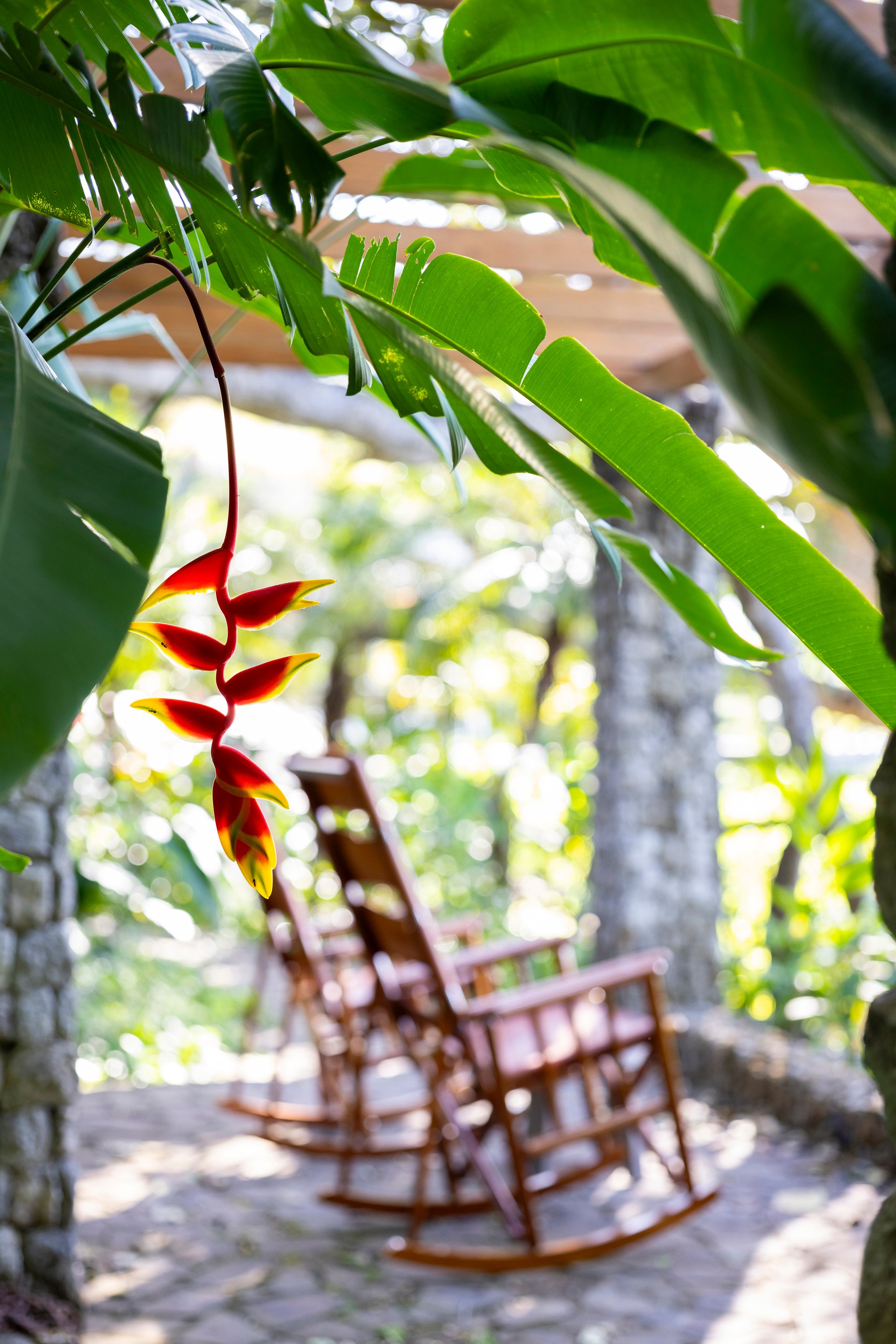 Villa El Alma | Ocean View Estate Steps from the Ritz-Carlton Reserve, Peninsula Papagayo | Walkable to Playa Prieta Beach