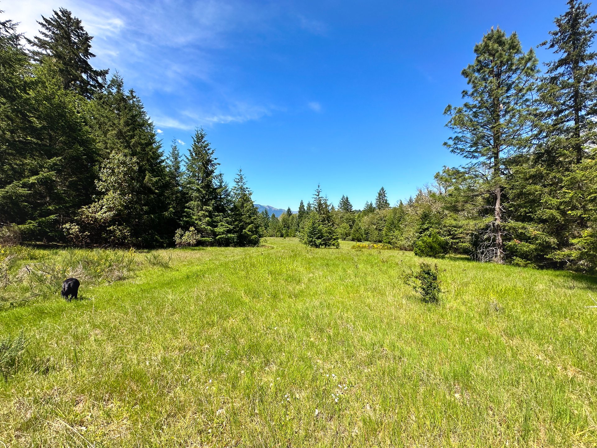 WAGON ROAD HOMESTEAD