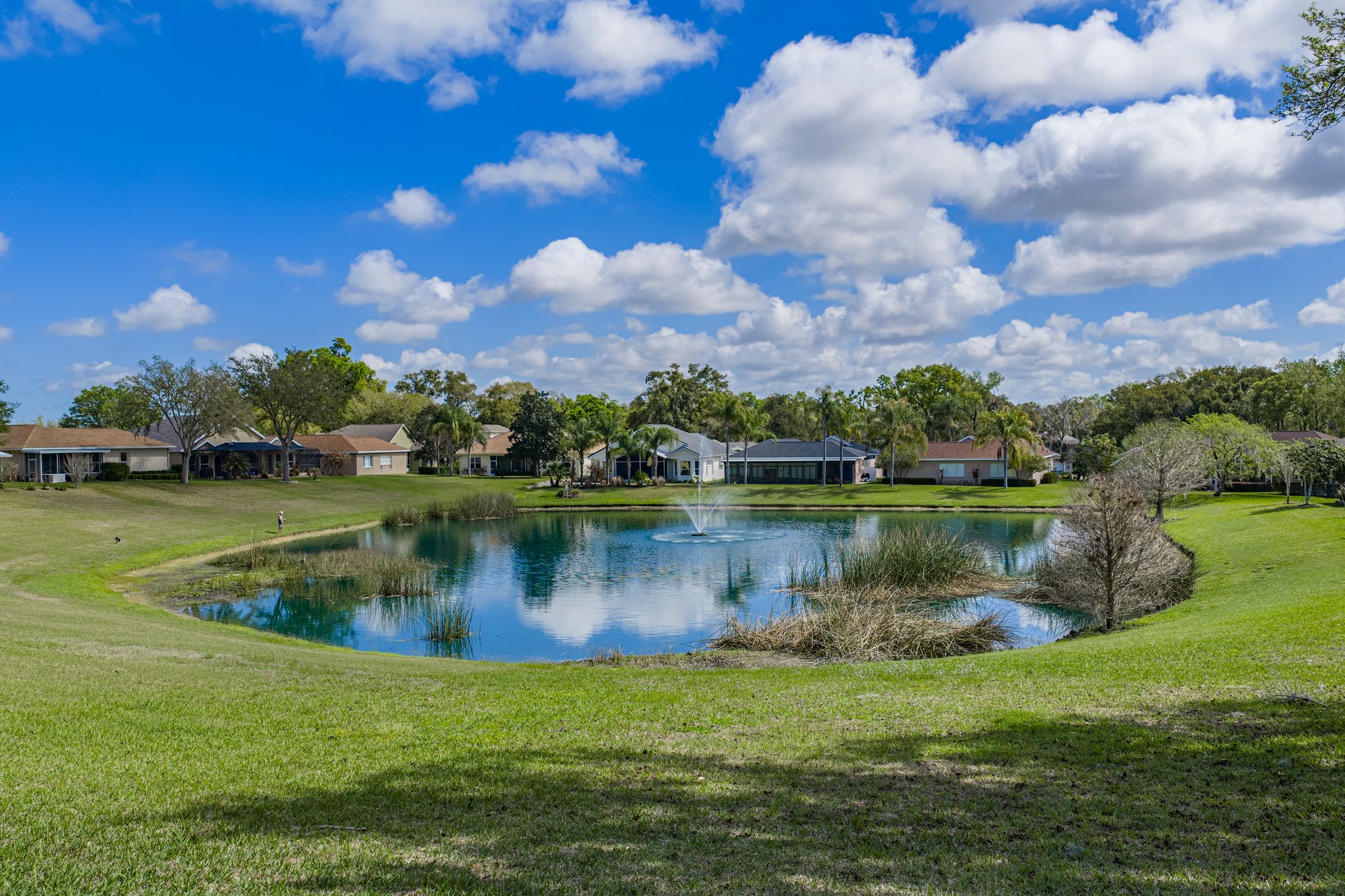 12231 WOODLANDS CIR