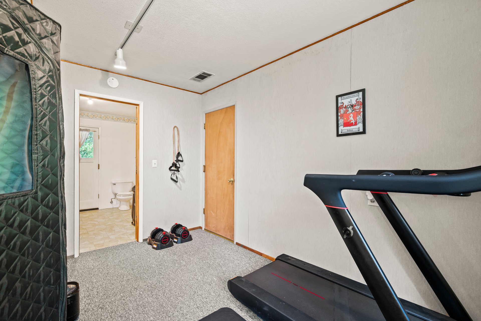Home workout room with a treadmill, adjustable dumbbells, and an adjoining bathroom doorway.