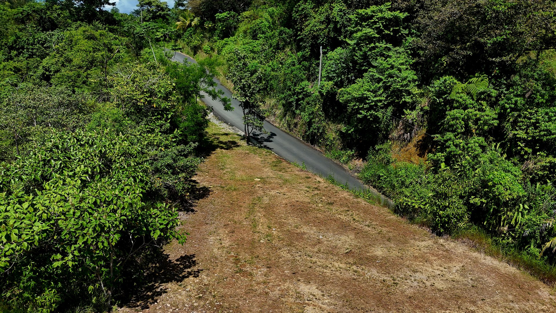  FIRE SALE! Two Adjacent Ocean-View Lots Sold Together – Chontales, Osa (10,487 m² + 9,844 m²)