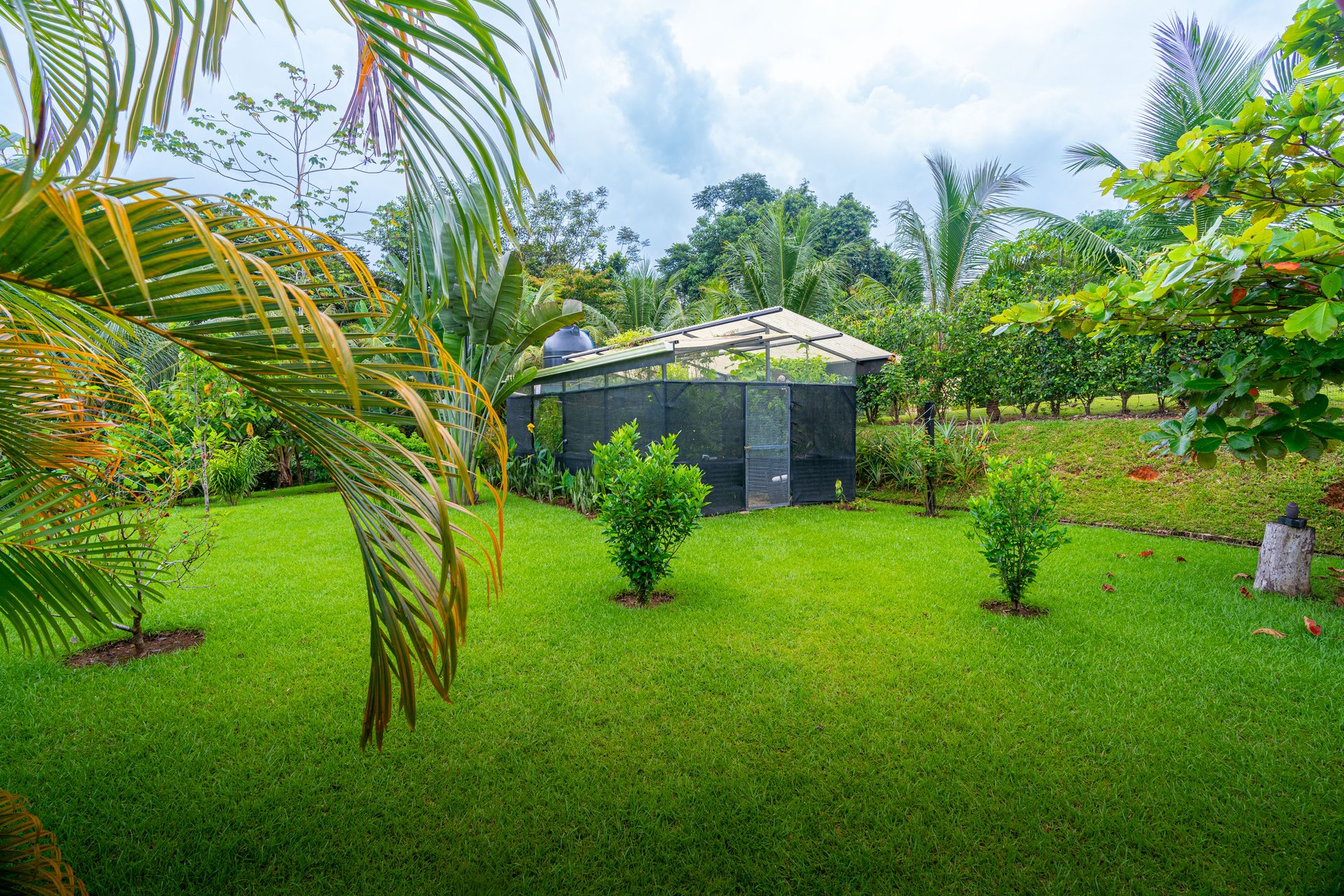 Modern 4-Bedroom Family Sanctuary with Infinity Pool, Edible Forest Garden - Exclusive Gated Ojochal Community 