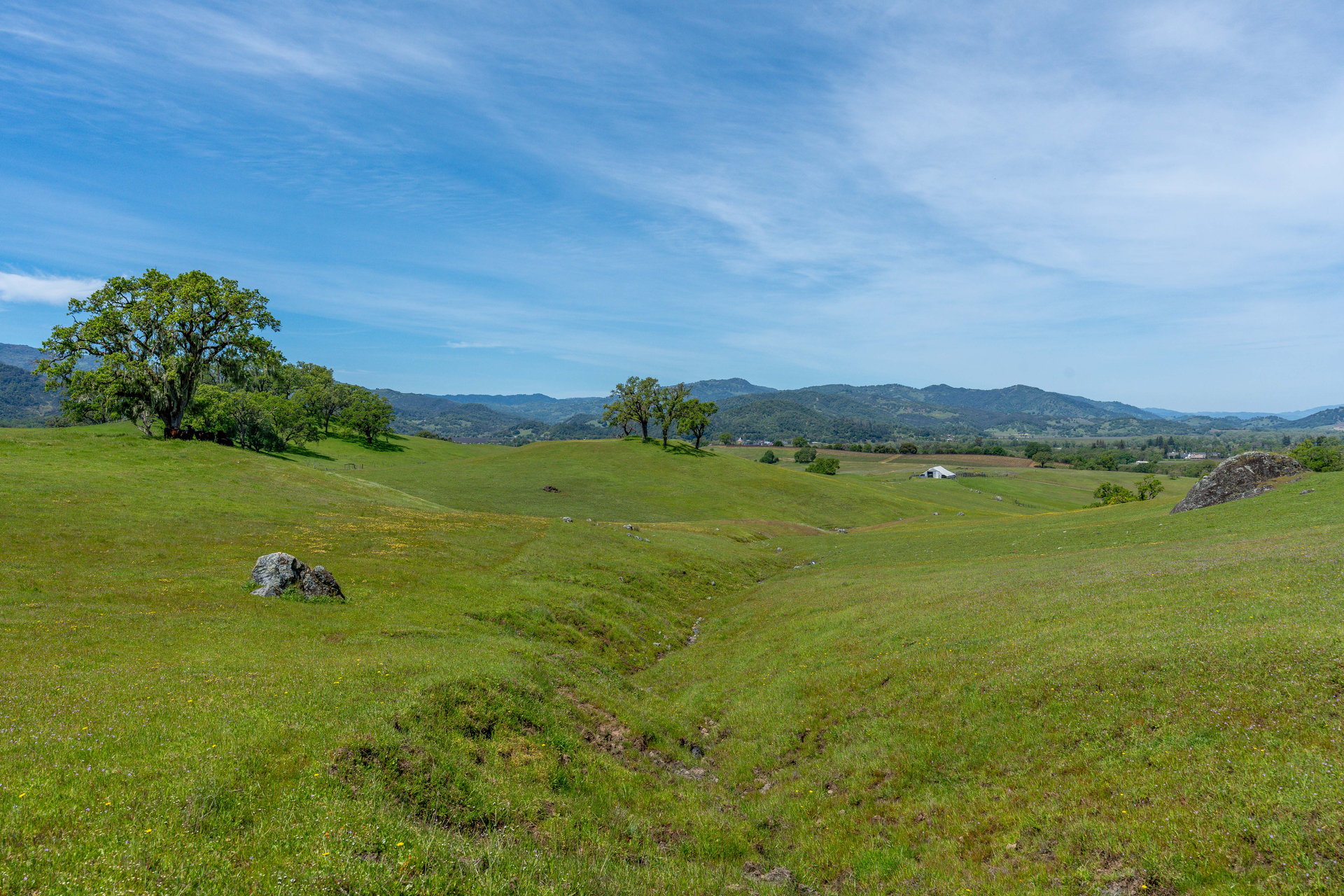 The Hopland Hills Ranch