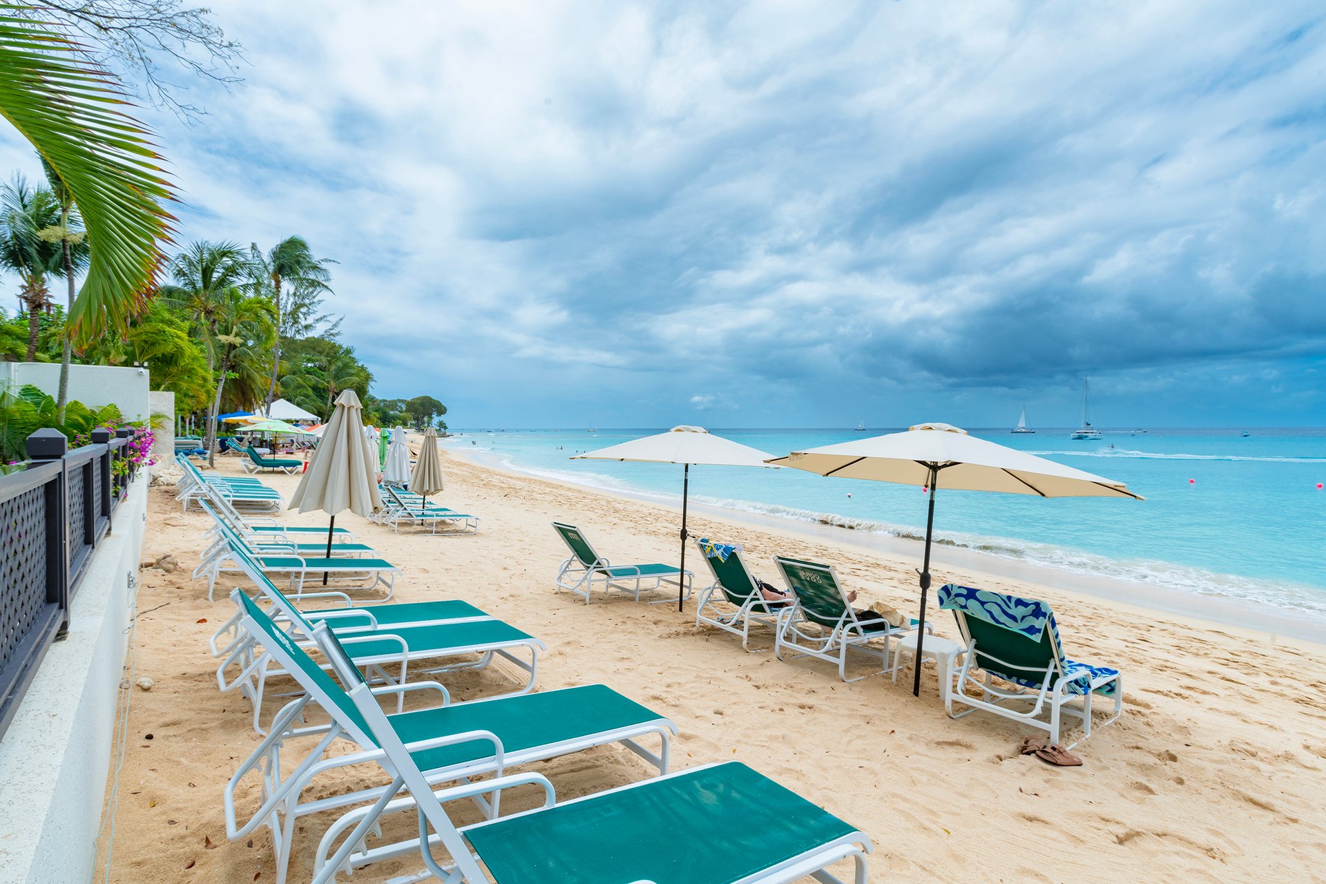 Coral Cove One