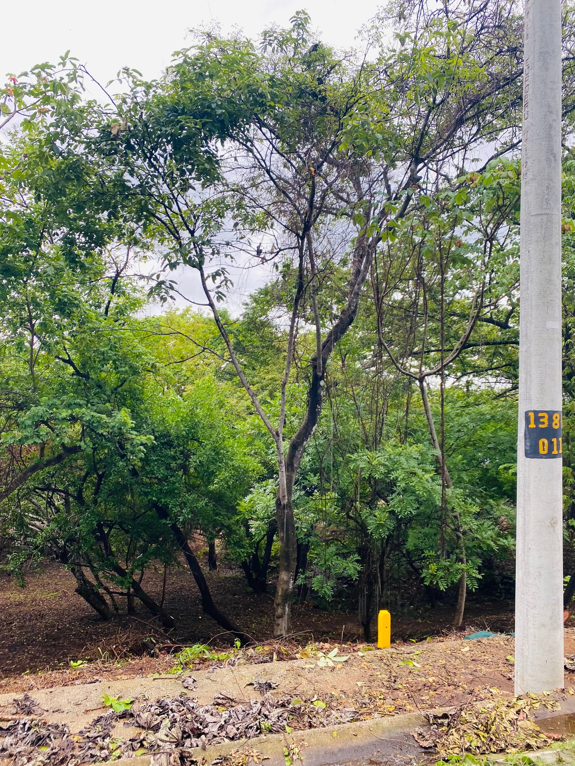 Valle Escondido
