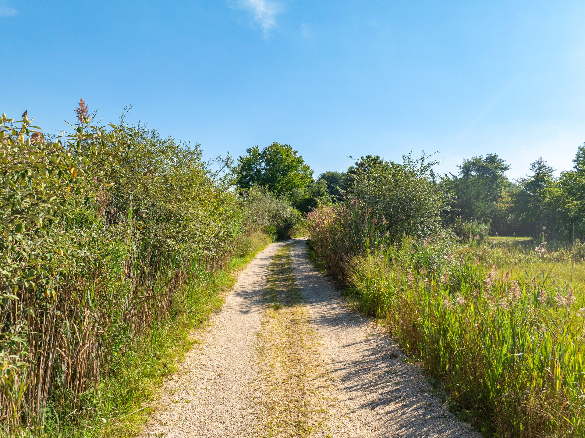Bayward: The Hamlet’s Most Remarkable Water Views