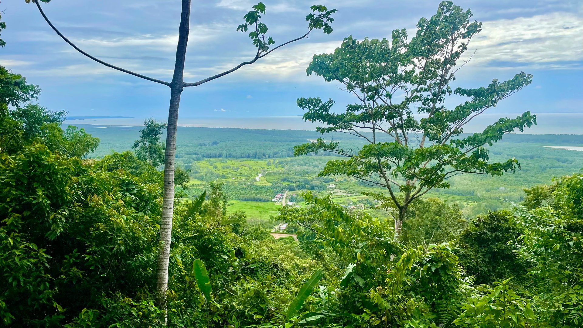 TROPICAL MASTERPIECE – 61.78 ACRES OF OCEANVIEW BLISS WITH WATERFALL