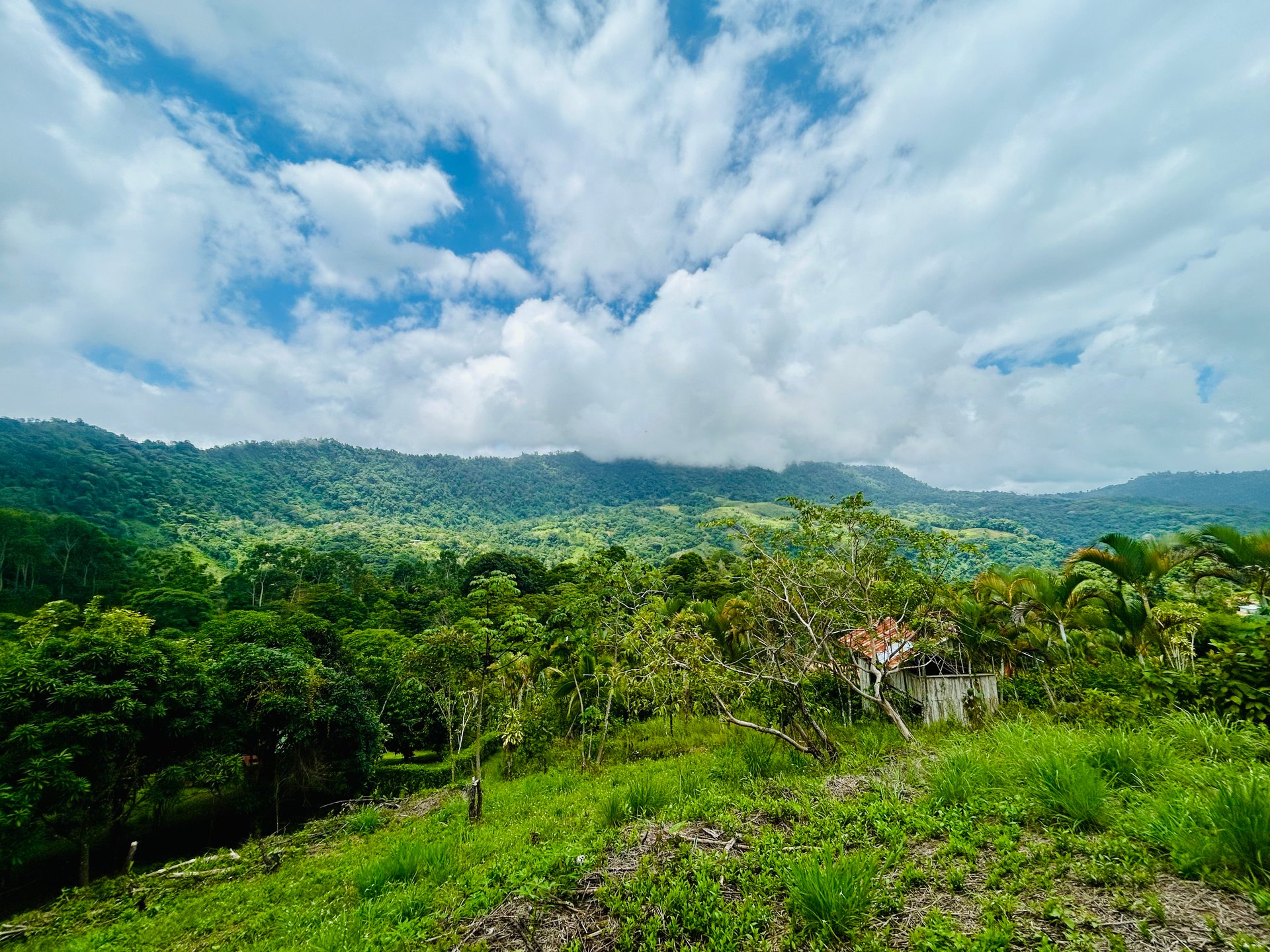 Ocean & Mountain View Lot with Multiple Building Sites-20 Minutes from Uvita