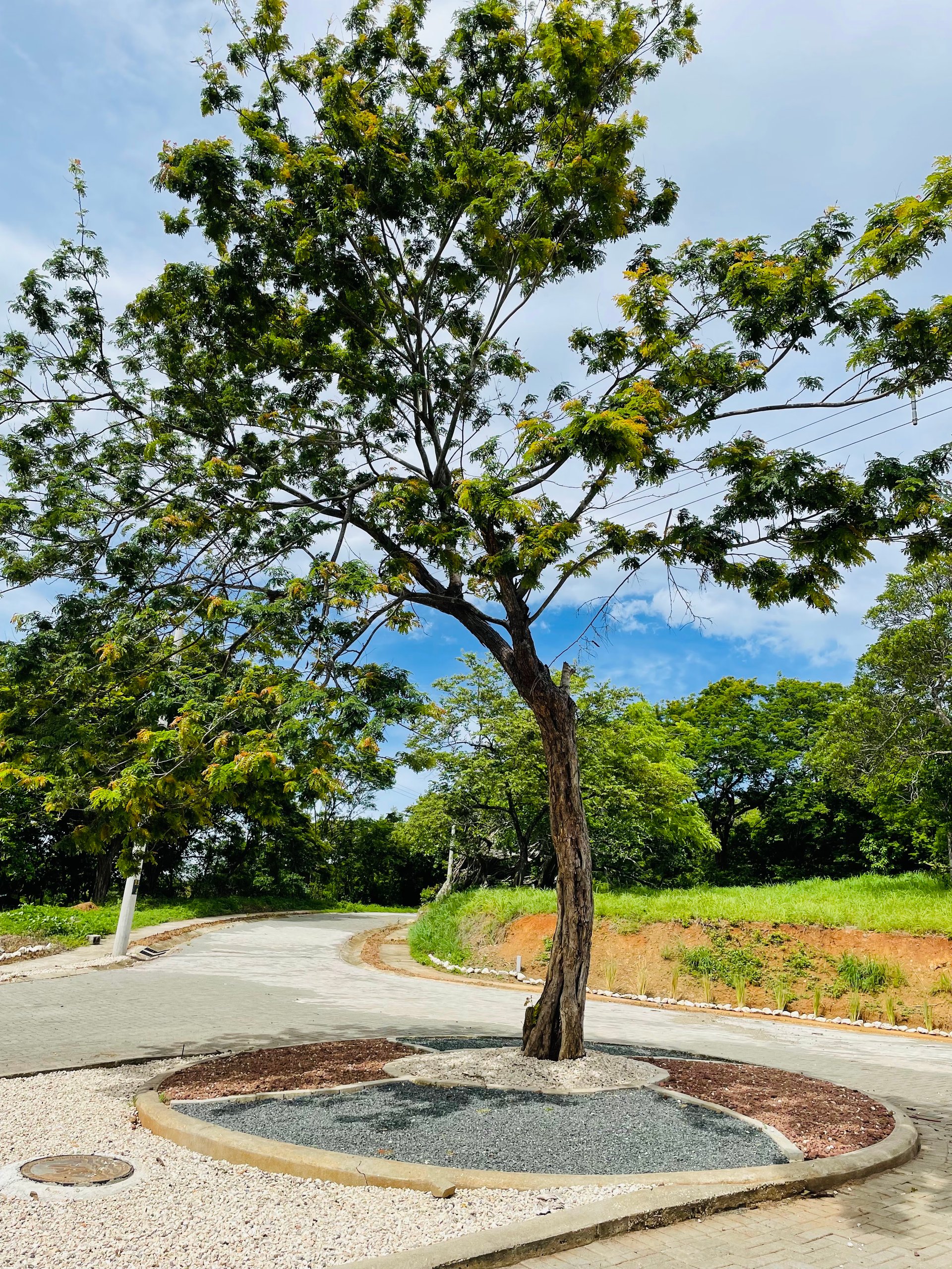 Valle Escondido