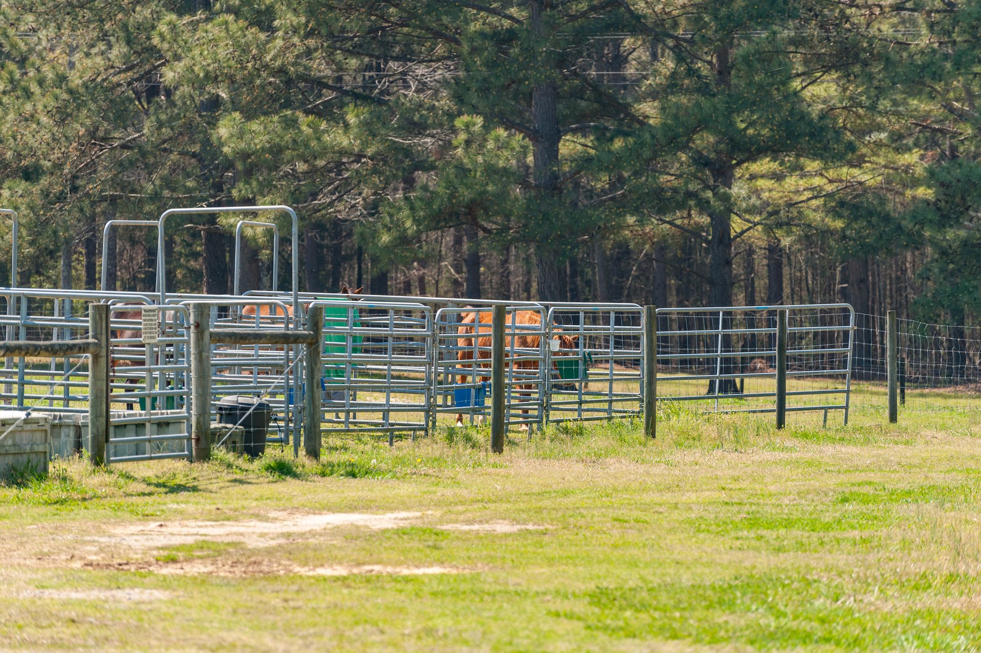 Watson Farms