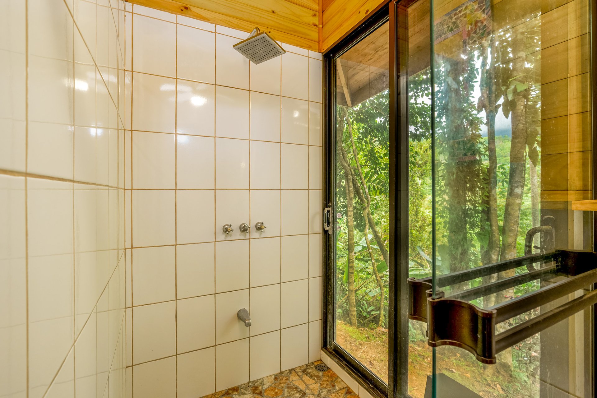 Jungle Retreat with River, Views & 2 Homes in Tres Rios