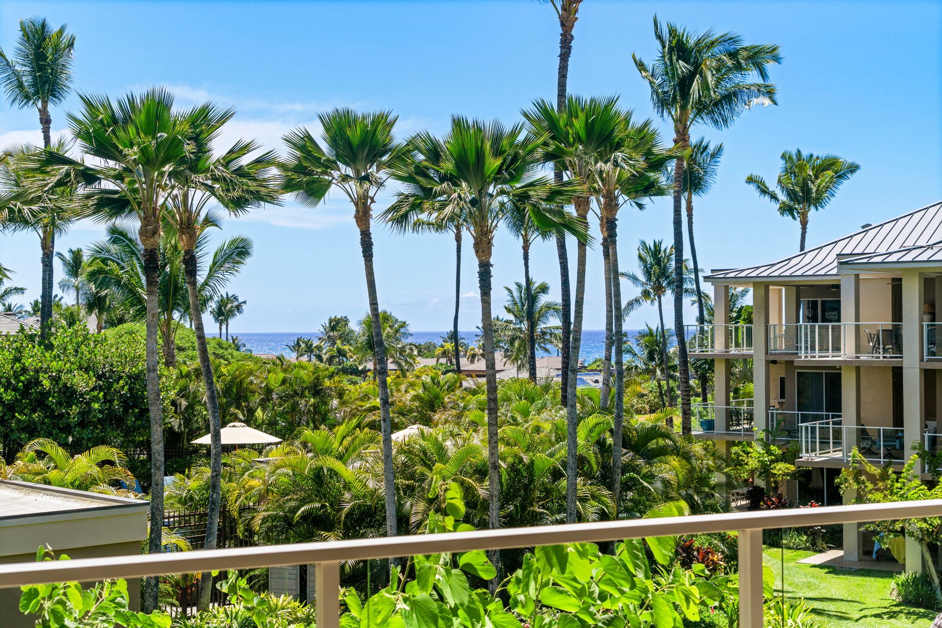 Vista Waikoloa C206