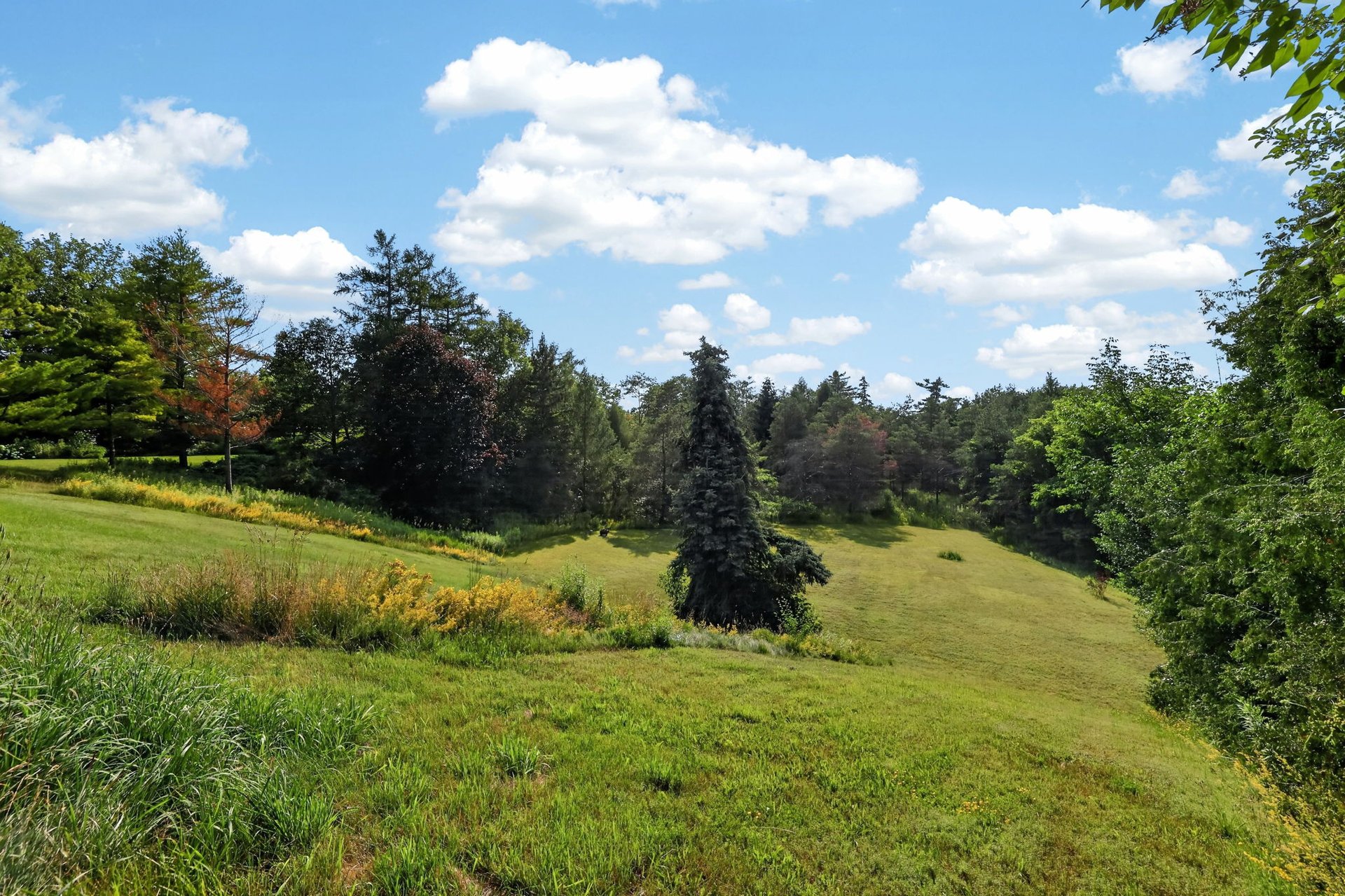 16 Hi View Drive
