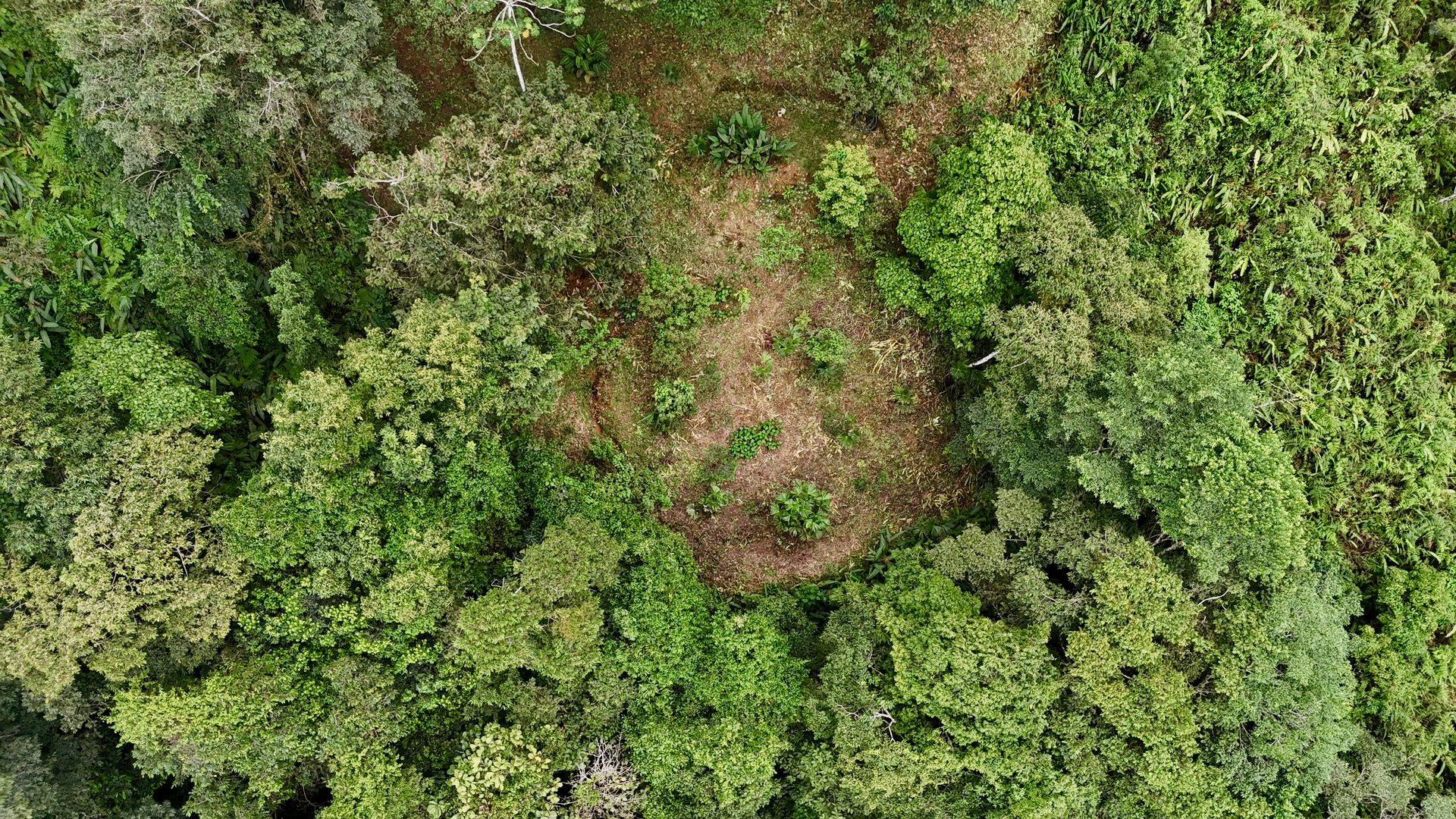 The Last of Its Kind Property in San Luis de Morete, Over 1.53 Acres