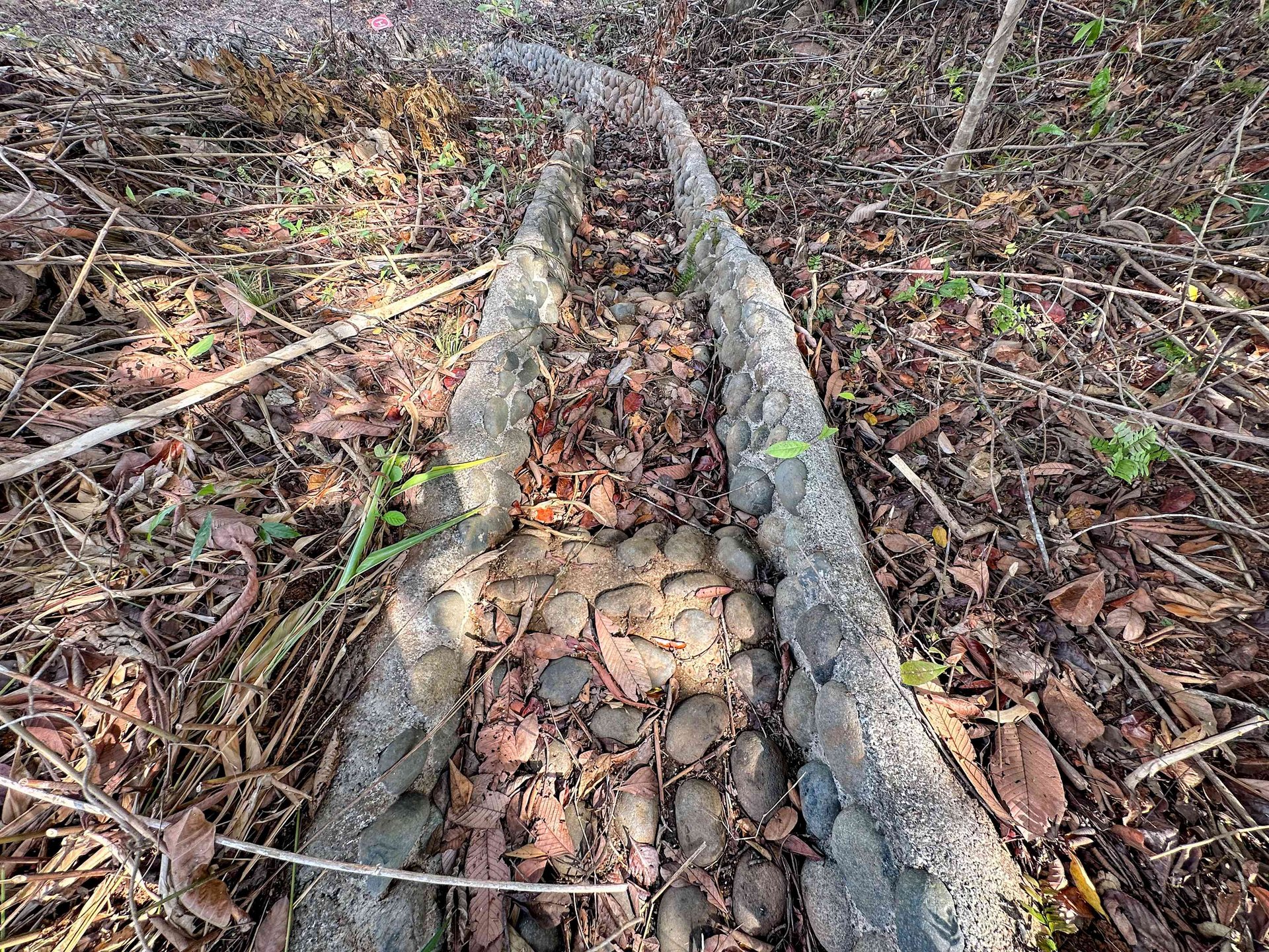 Lot With Two Plantels, Panoramic Mountain And Jungle Views