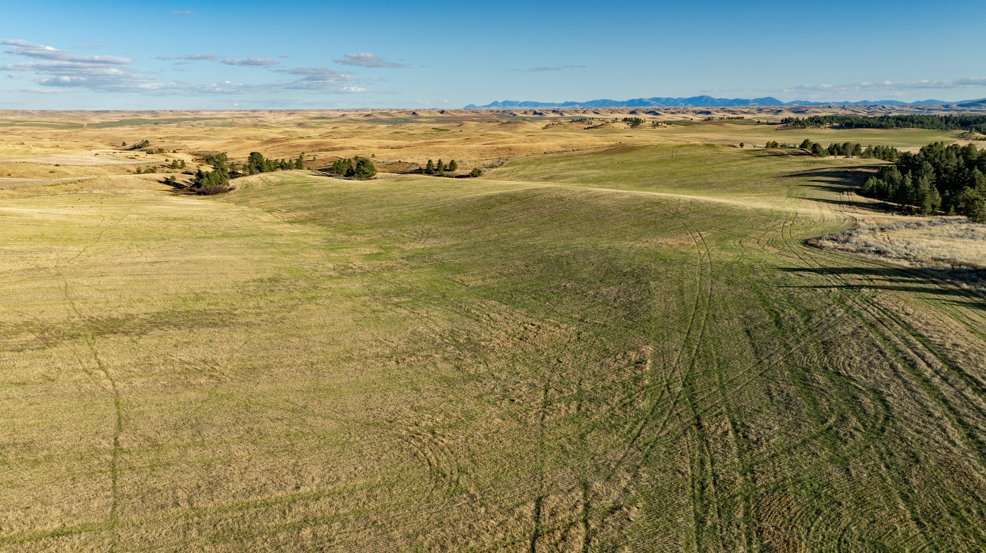 Salt Creek Ranch