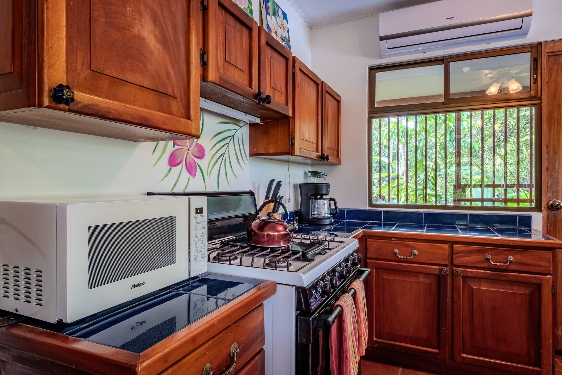 Two Ocean View Homes in Exclusive Marina Vista, Escaleras