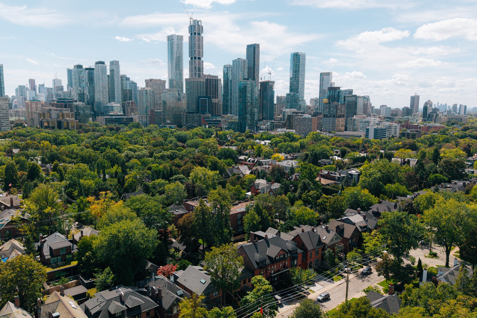Rosedale Reimagined