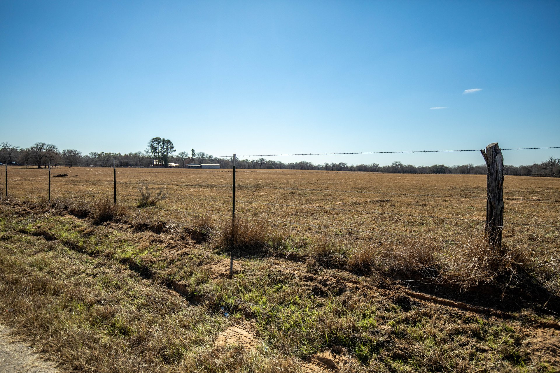 Whispering Pines Floresville Ranch | 298± Acres | Wilson County
