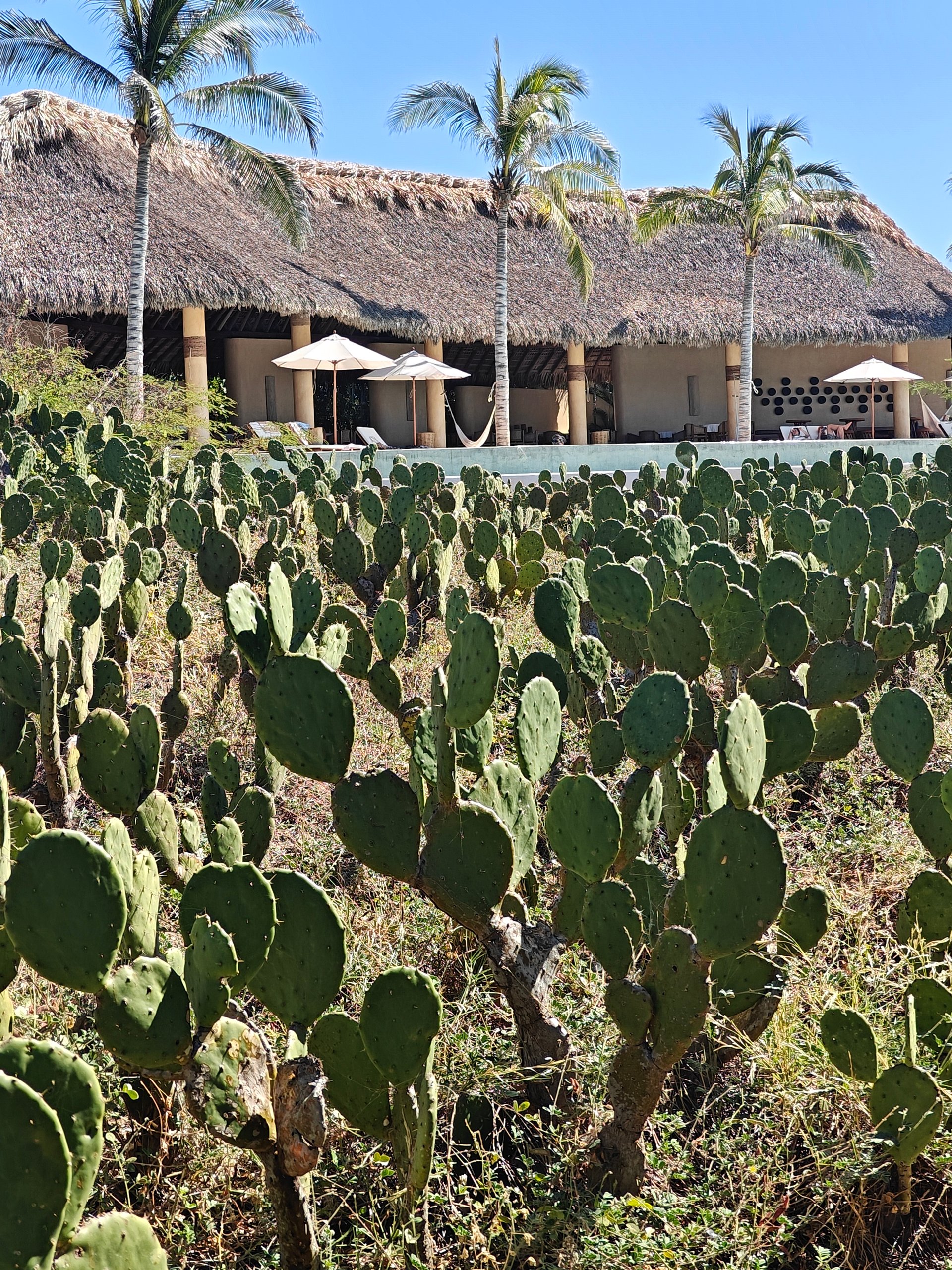 4 Bedroom, Single Family Home, Casa del Pacifico