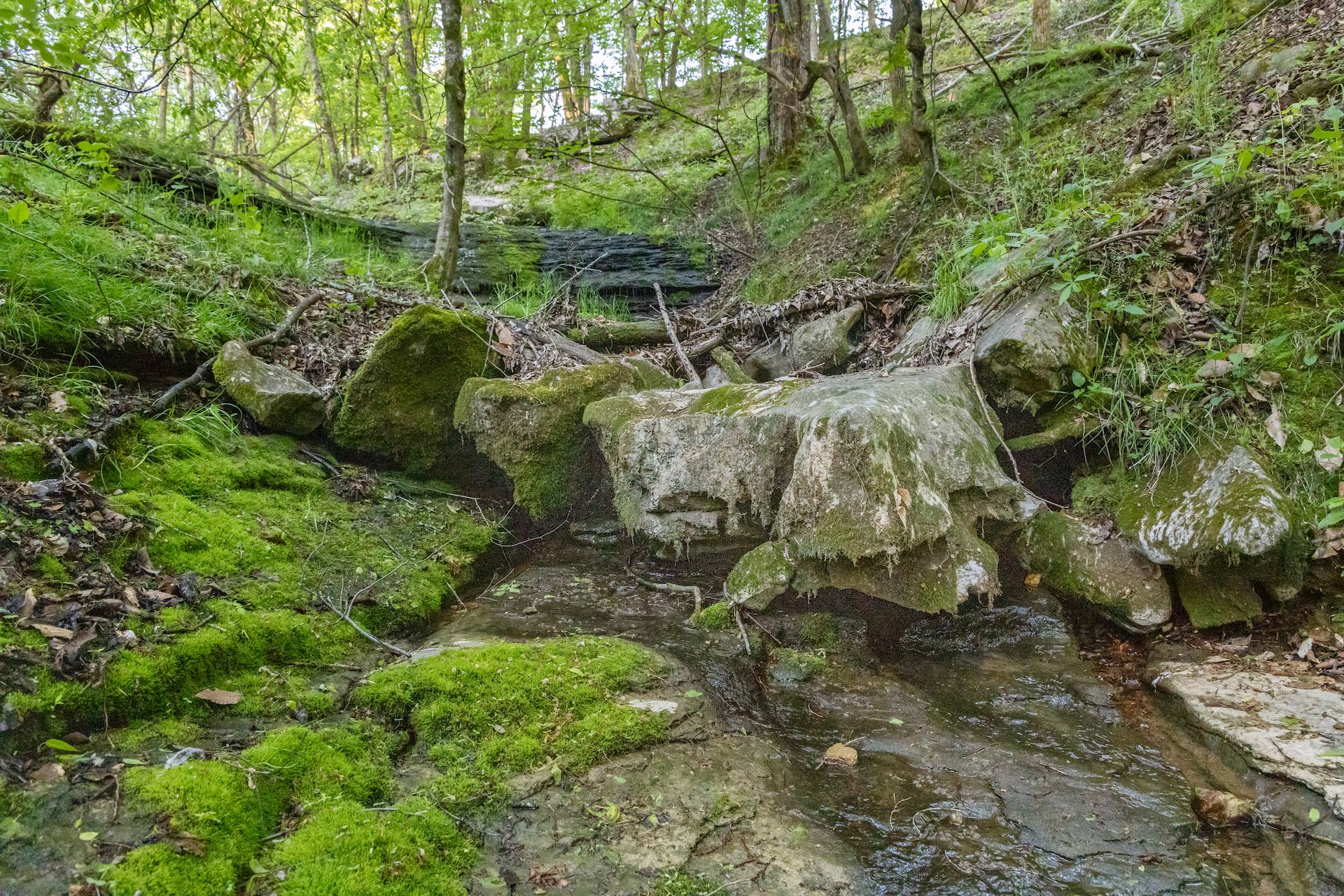1 Firetower Rd