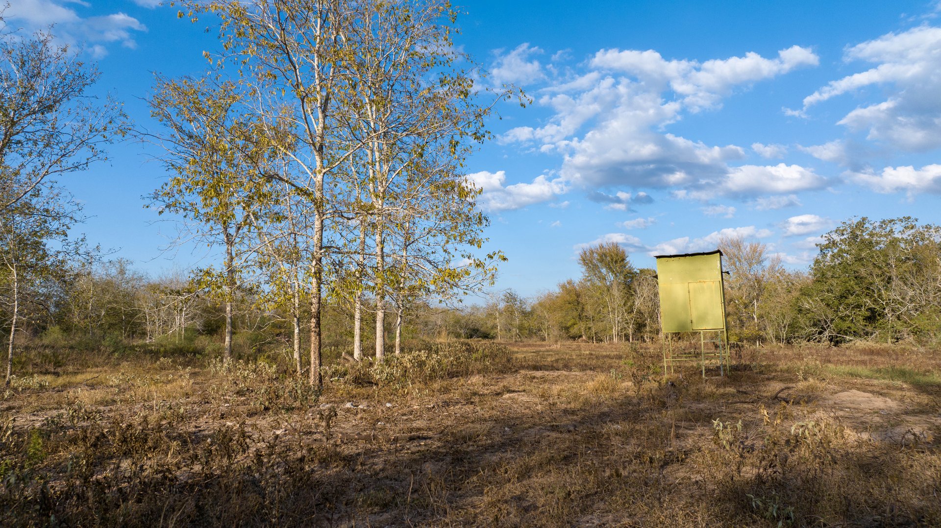Gonzales County | 104+/- Acres