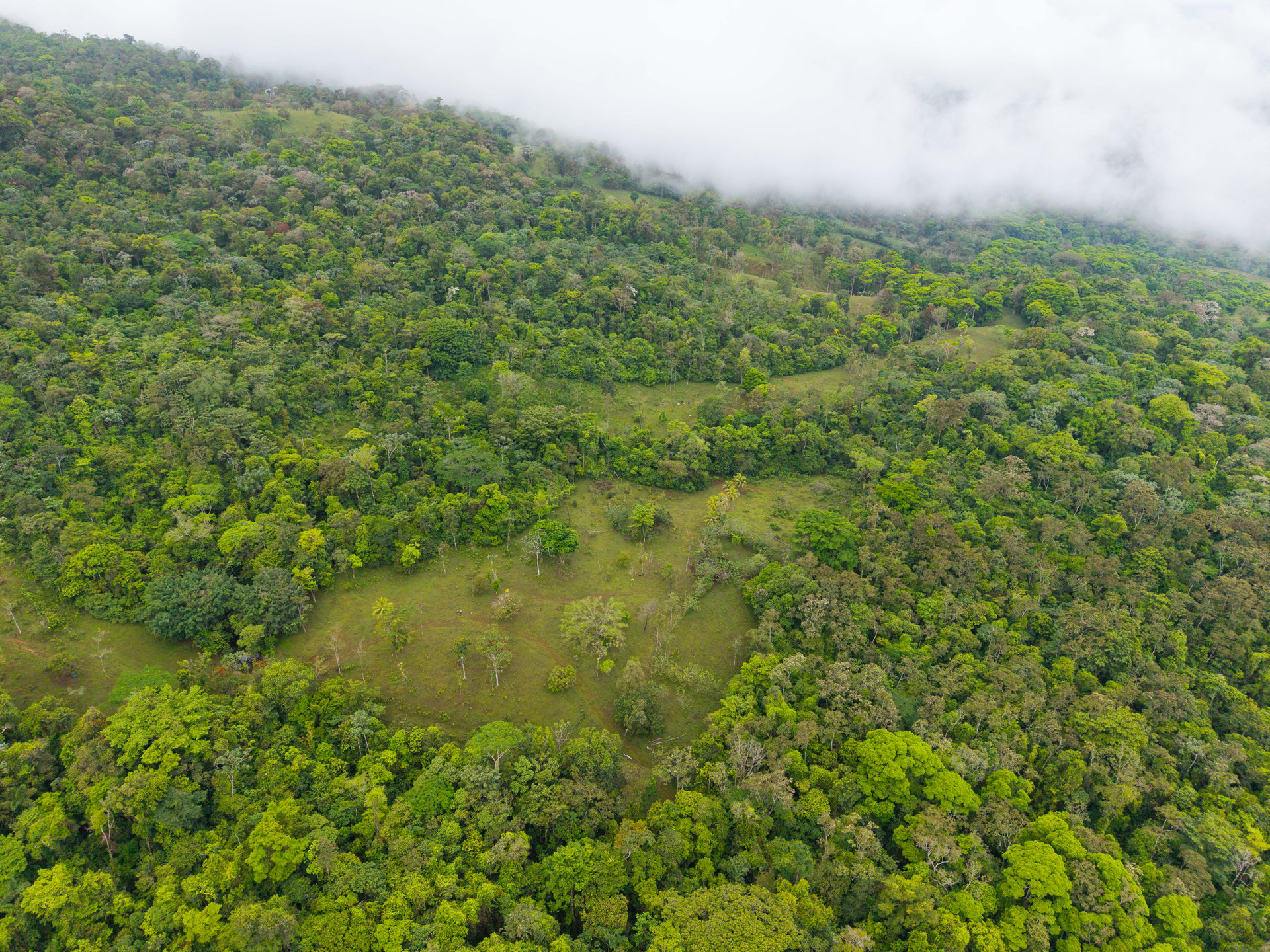 Finca Las Zompopas-Río Celeste | 113-Acre Biodiverse Property in Bijagua, Ideal for Eco-Tourism, Private Retreats, or Sustainable Development